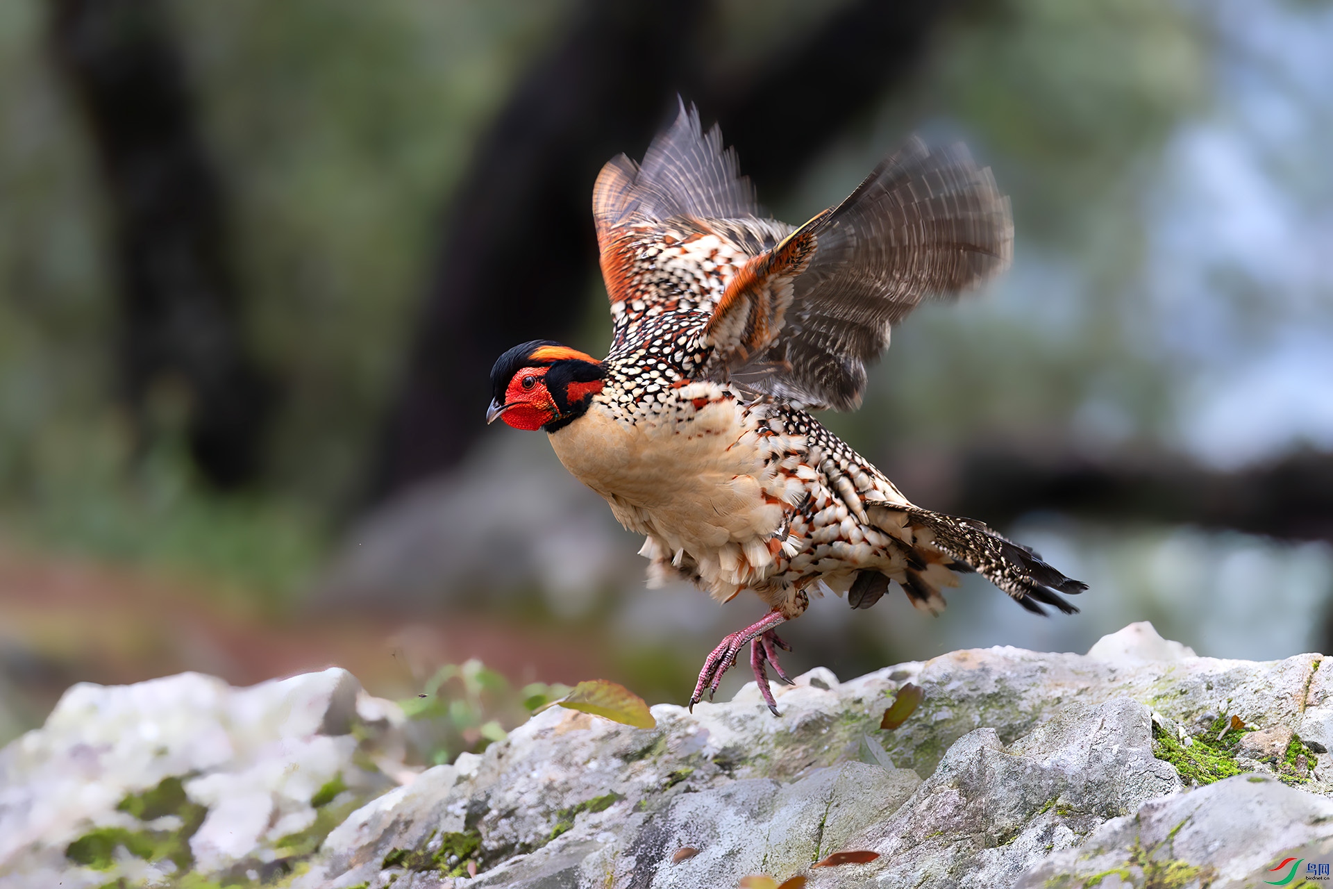 060A7788 ����-Sh----1 .jpg