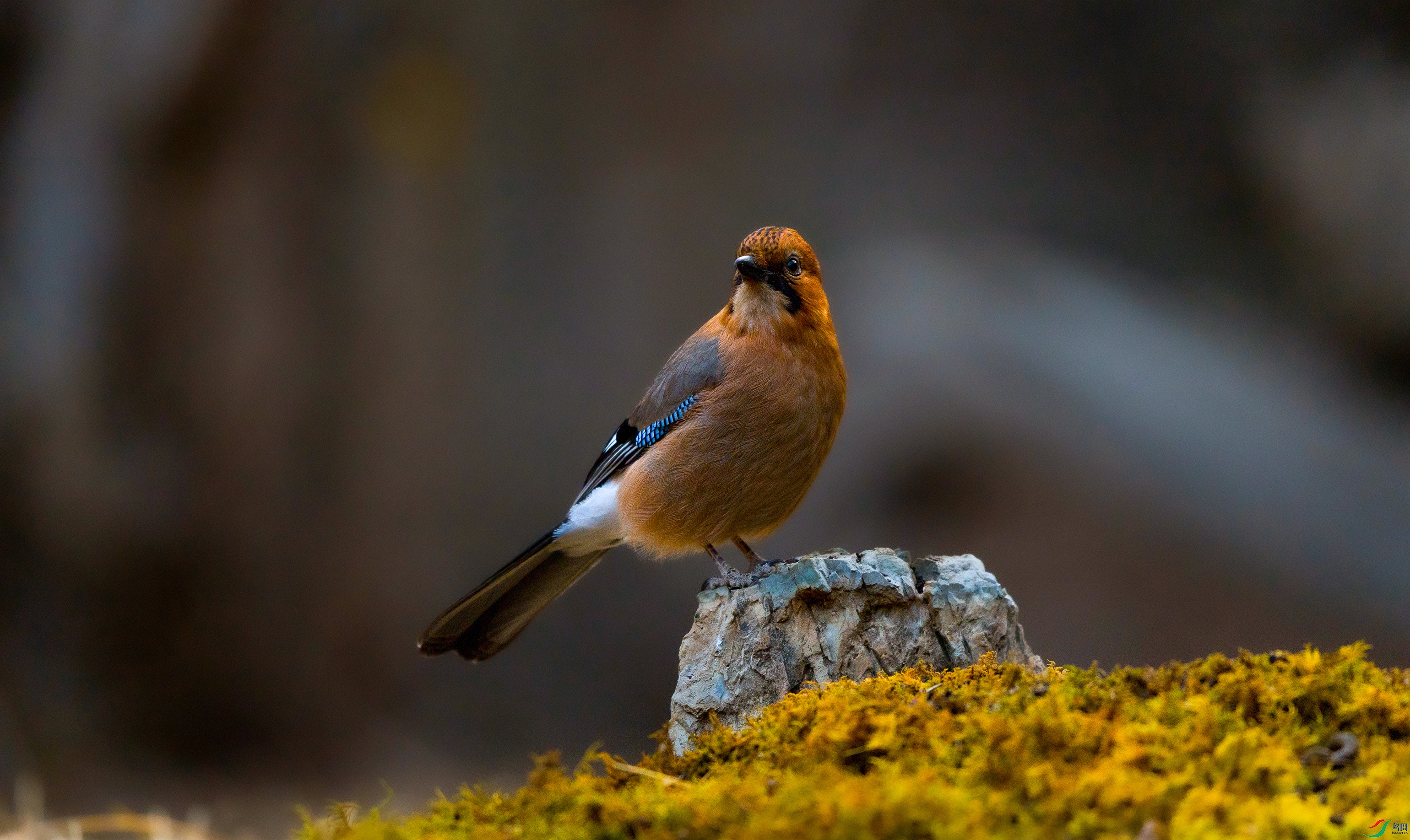 7X5A0101 ����4444.jpg