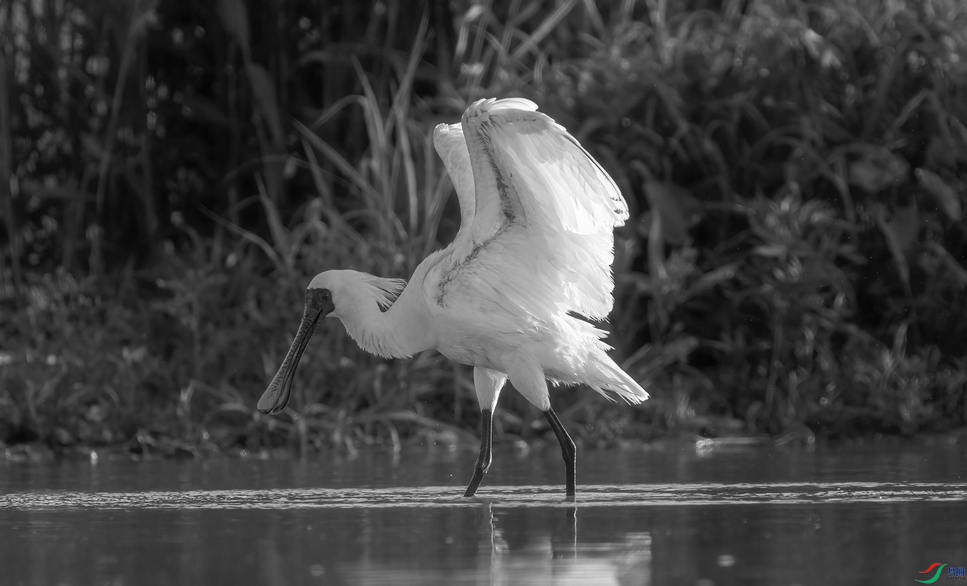 DSC01072 ����.jpg