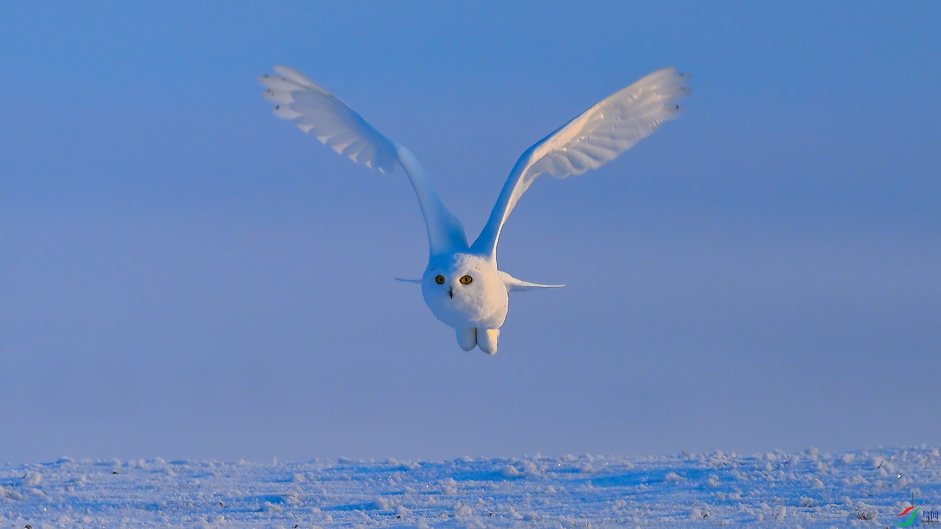 XHH_1737 ���� 2.jpg