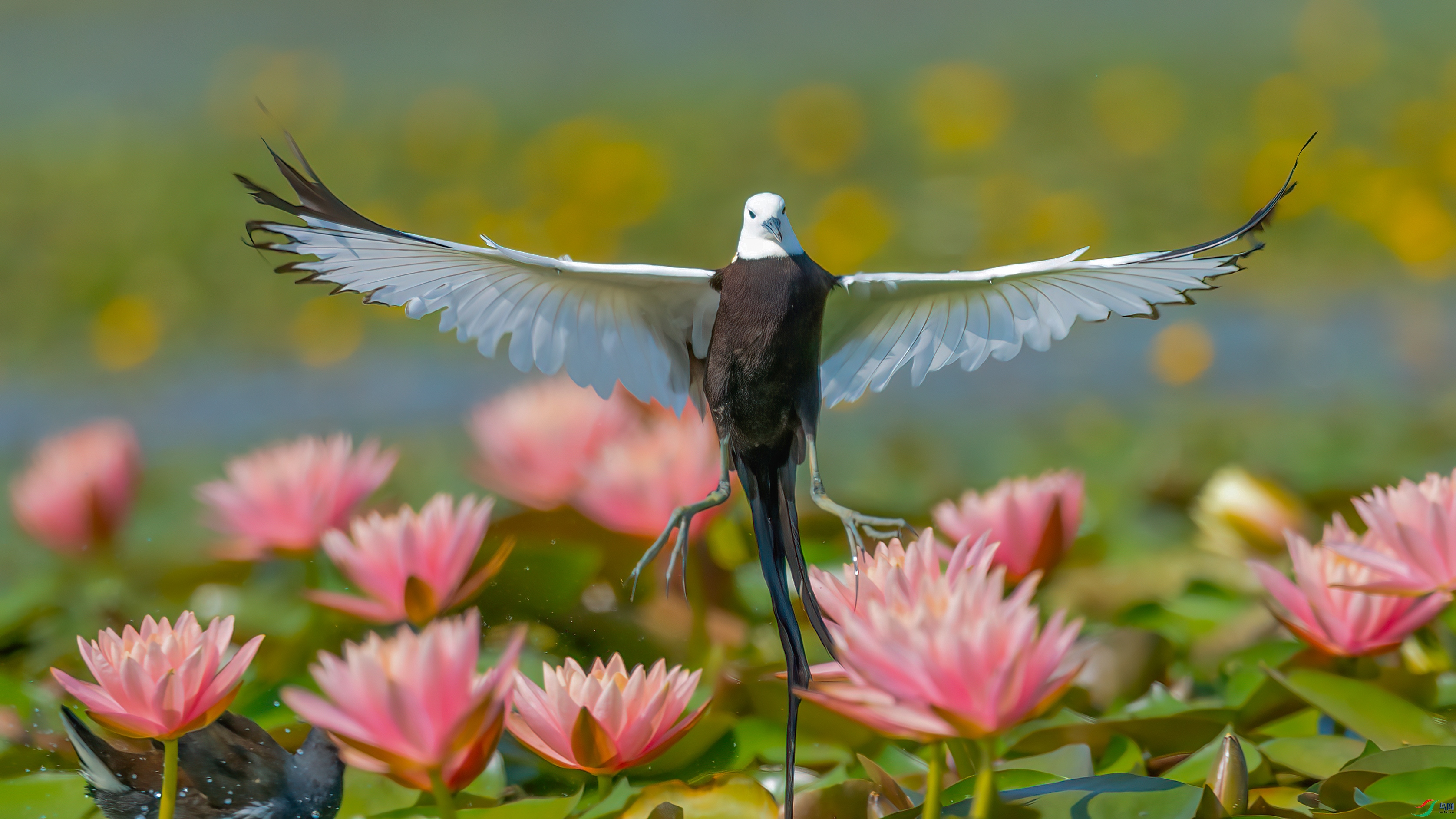 048A0063 ����.jpg