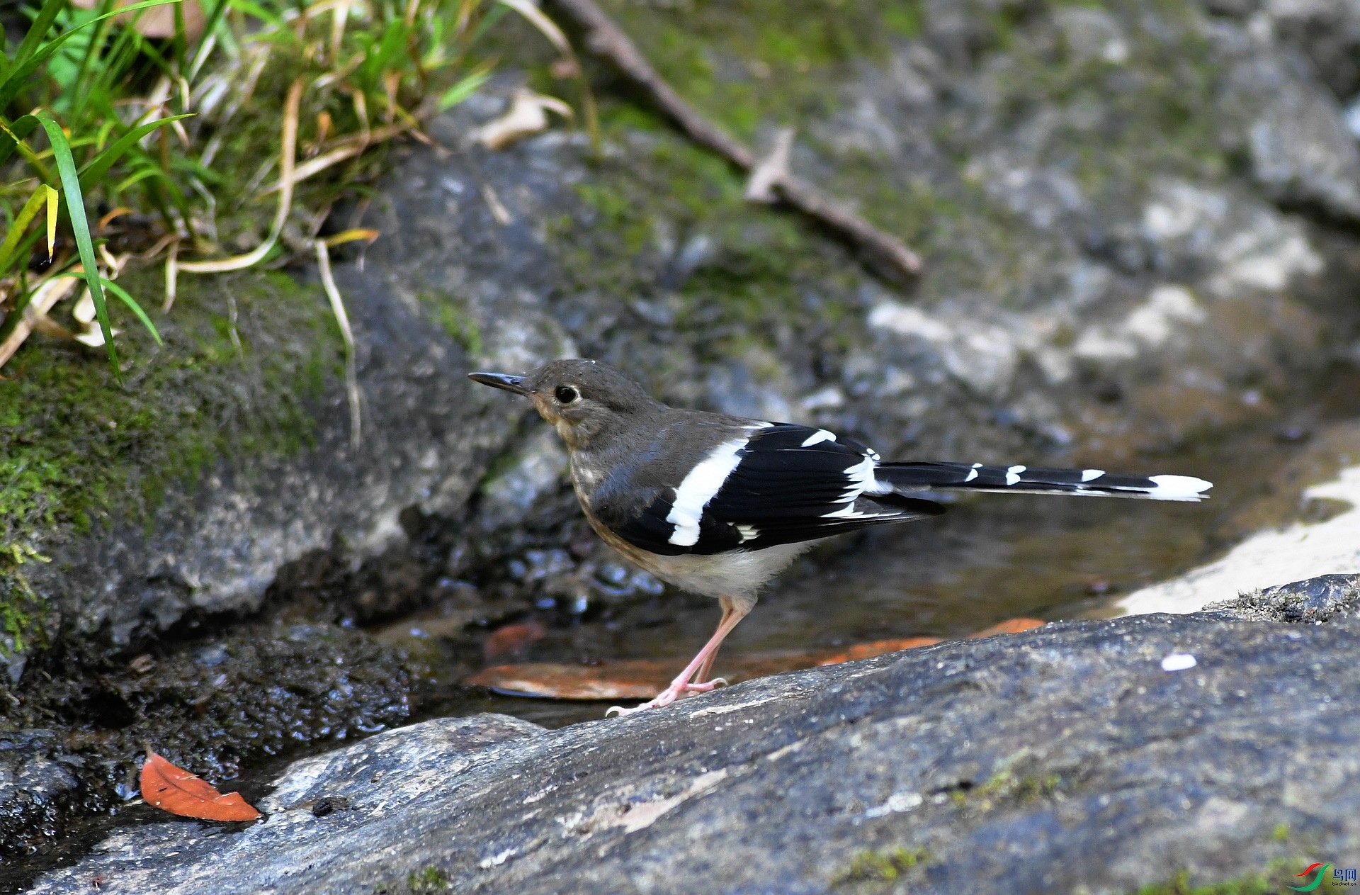 DSC_1534.jpg