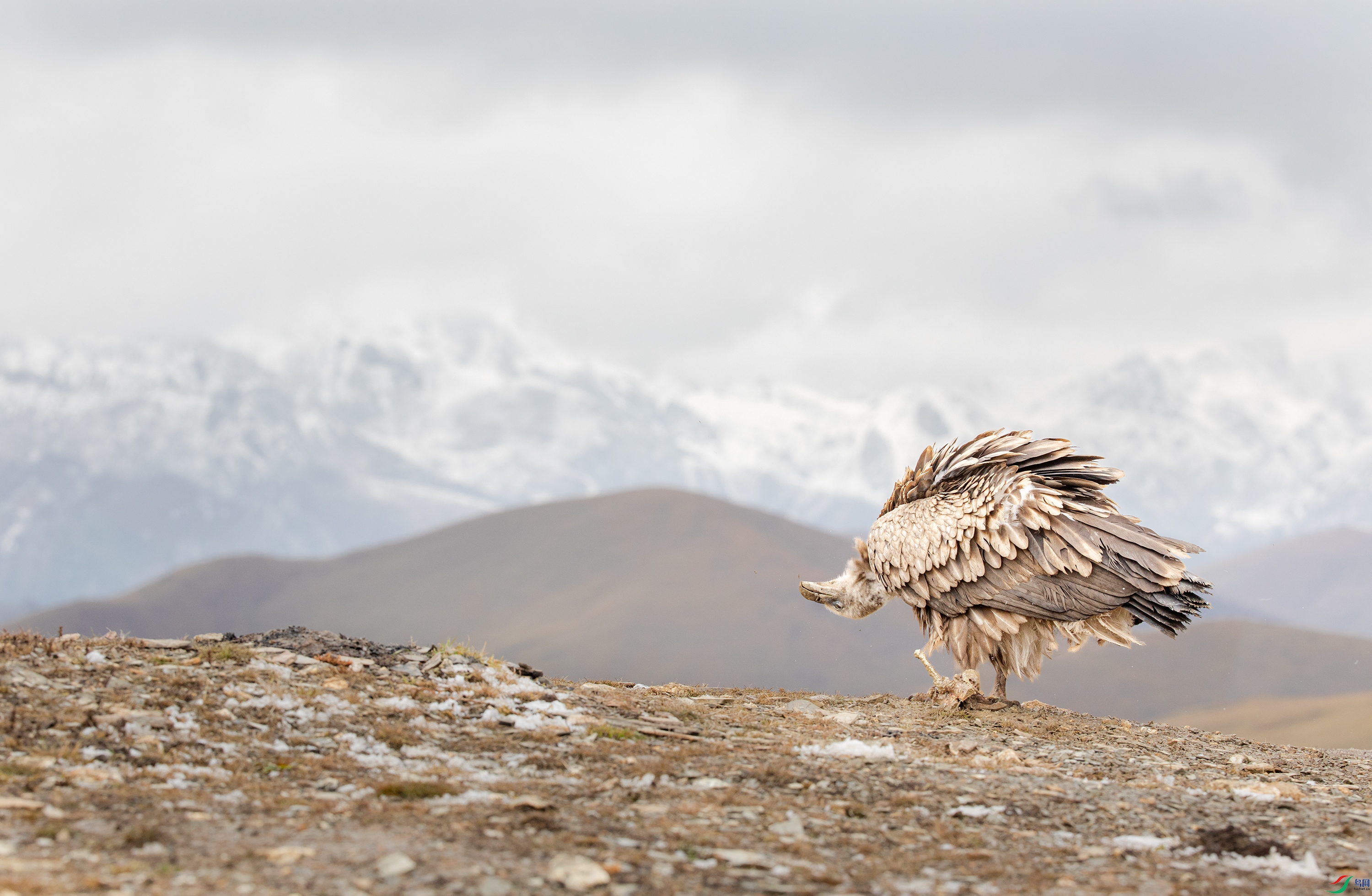 _S5A0355 ����.jpg