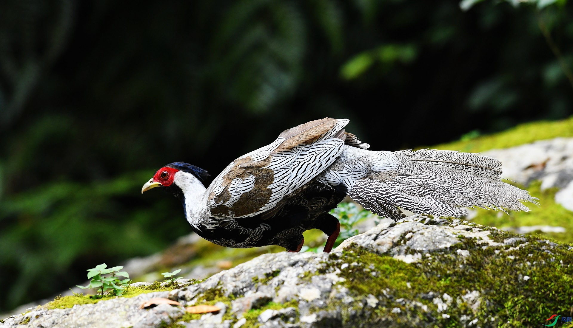 DSC_8622.jpg
