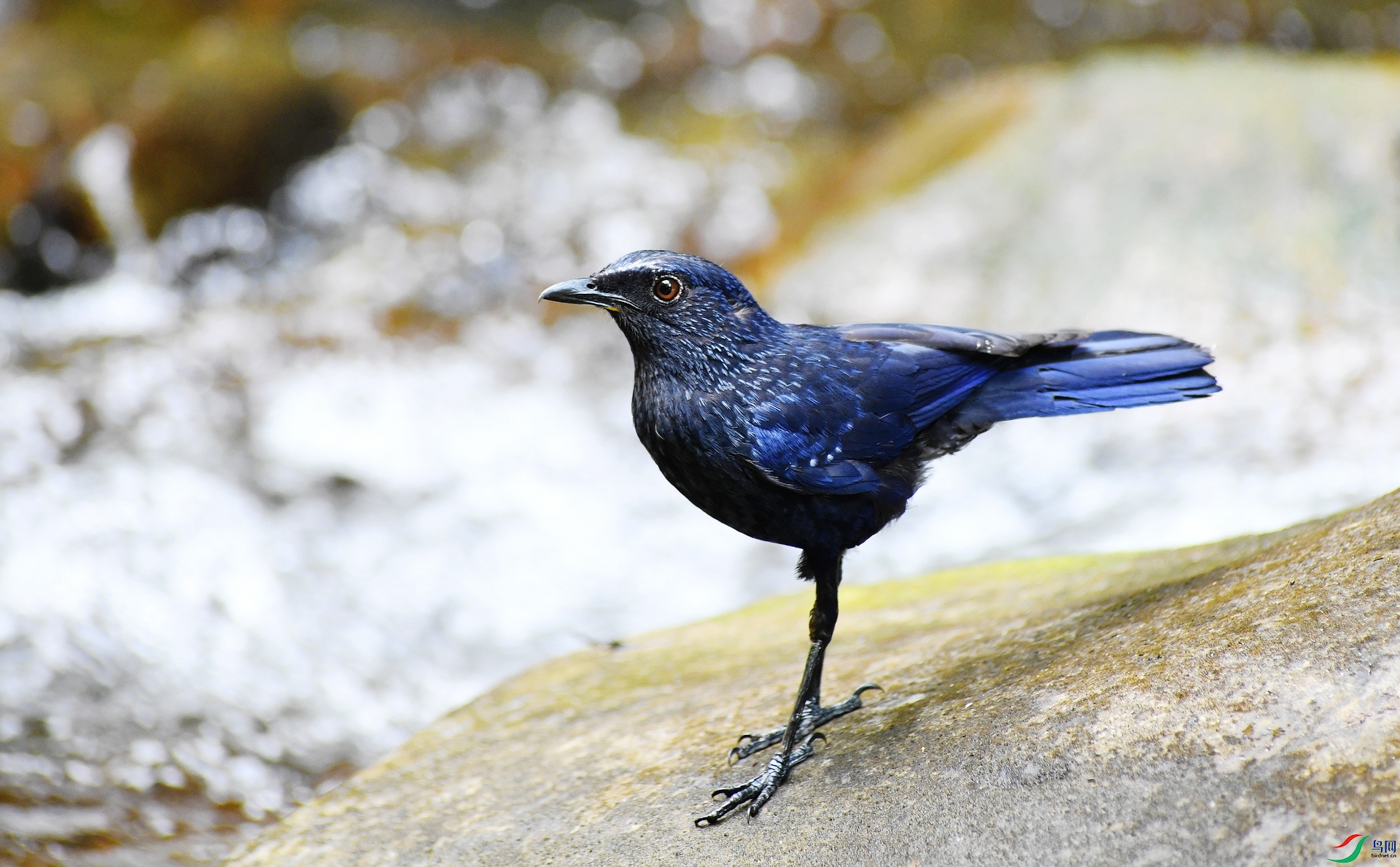 DSC_2024.jpg