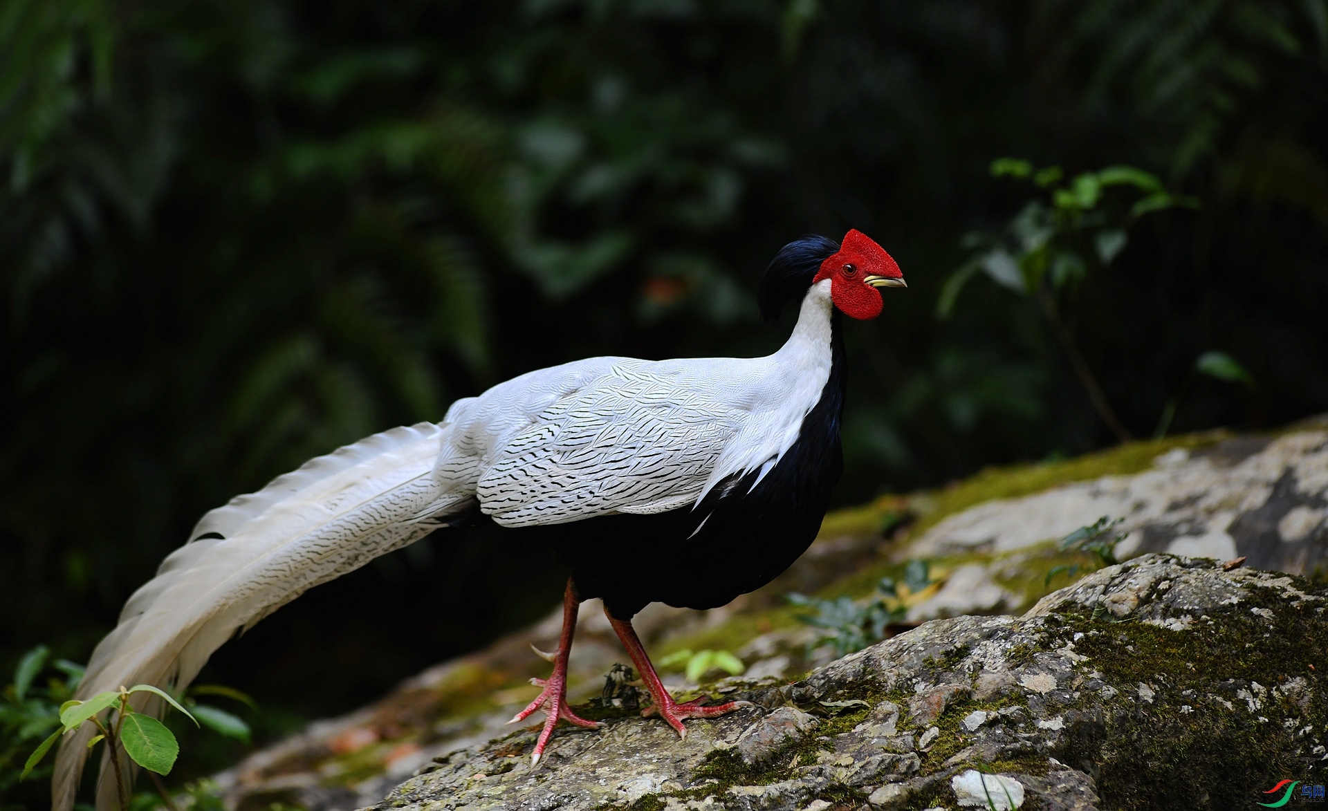 DSC_2203.jpg