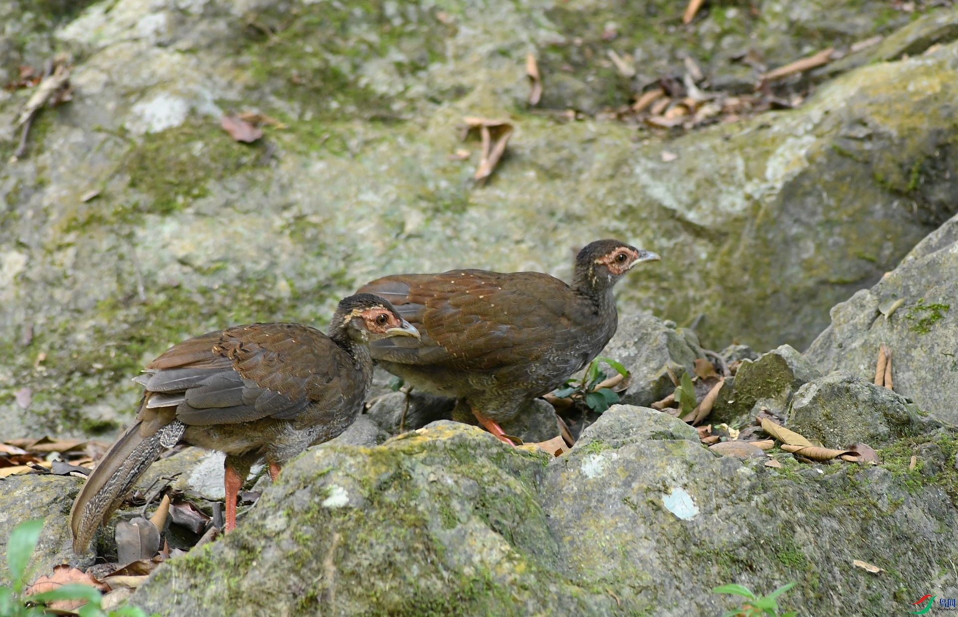 DSC_2111.jpg