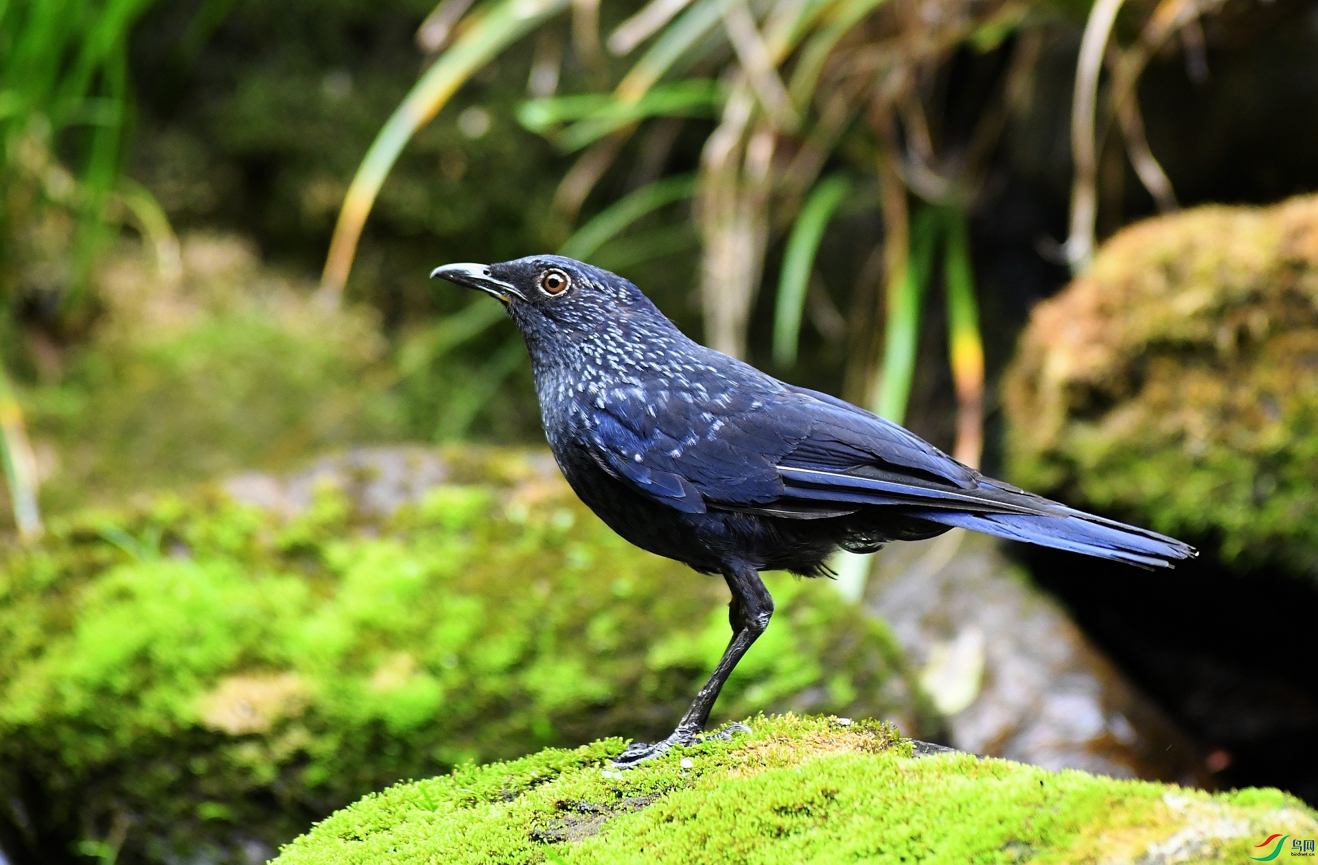 DSC_2314.jpg