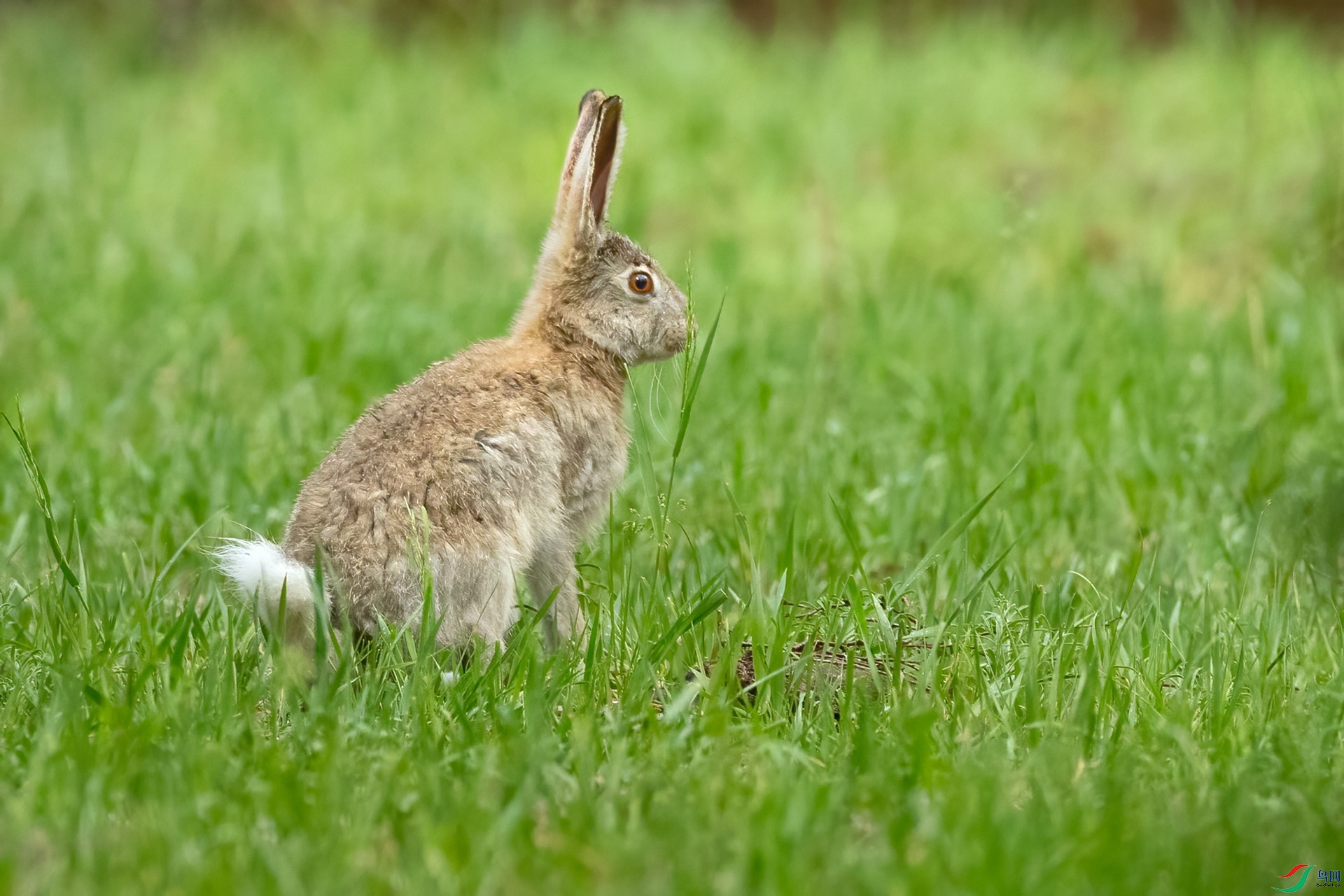 B86I8899 _����.jpg