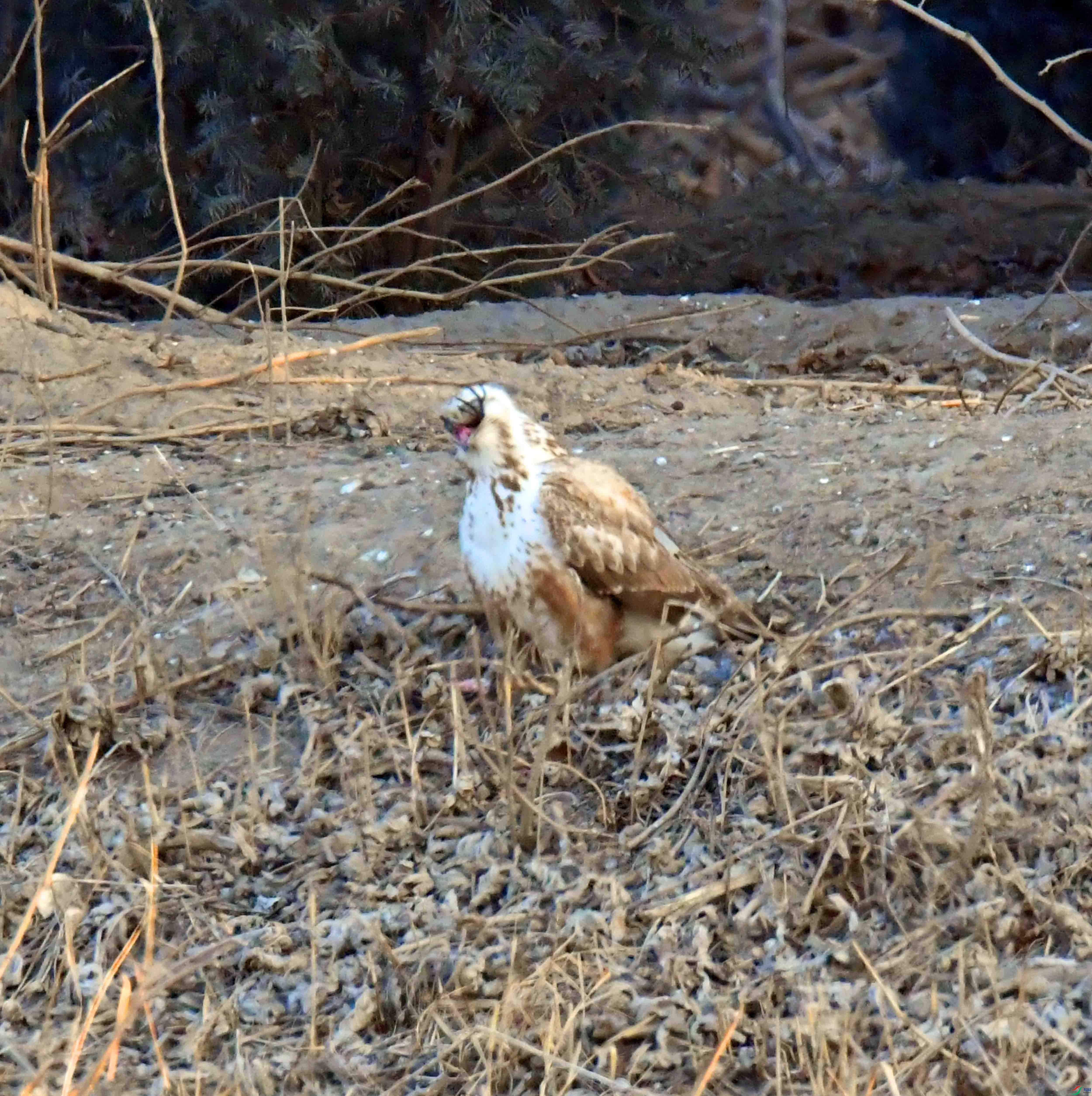 DSC_7869.JPG