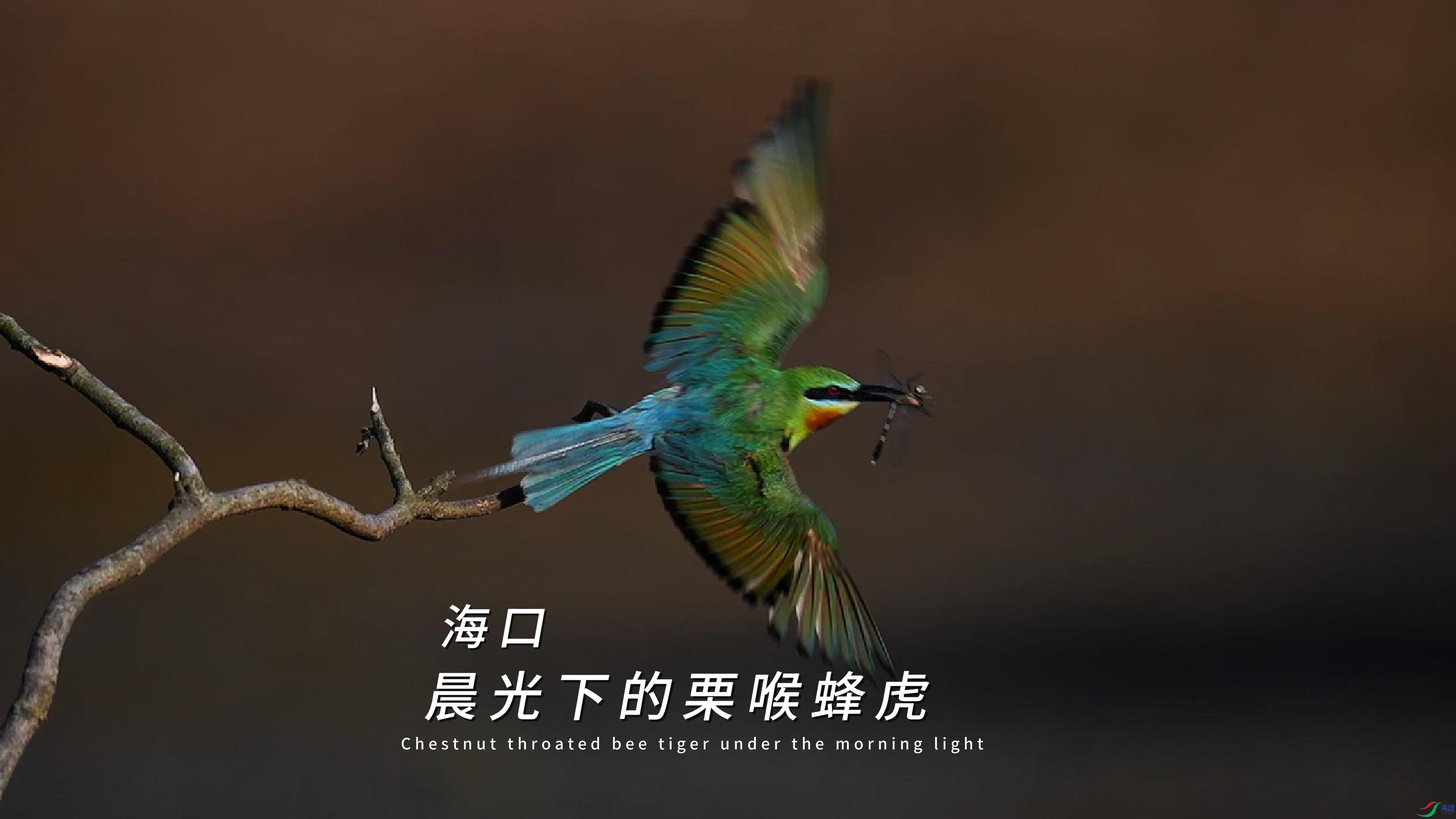 ���� �����µ������仢-����.jpg