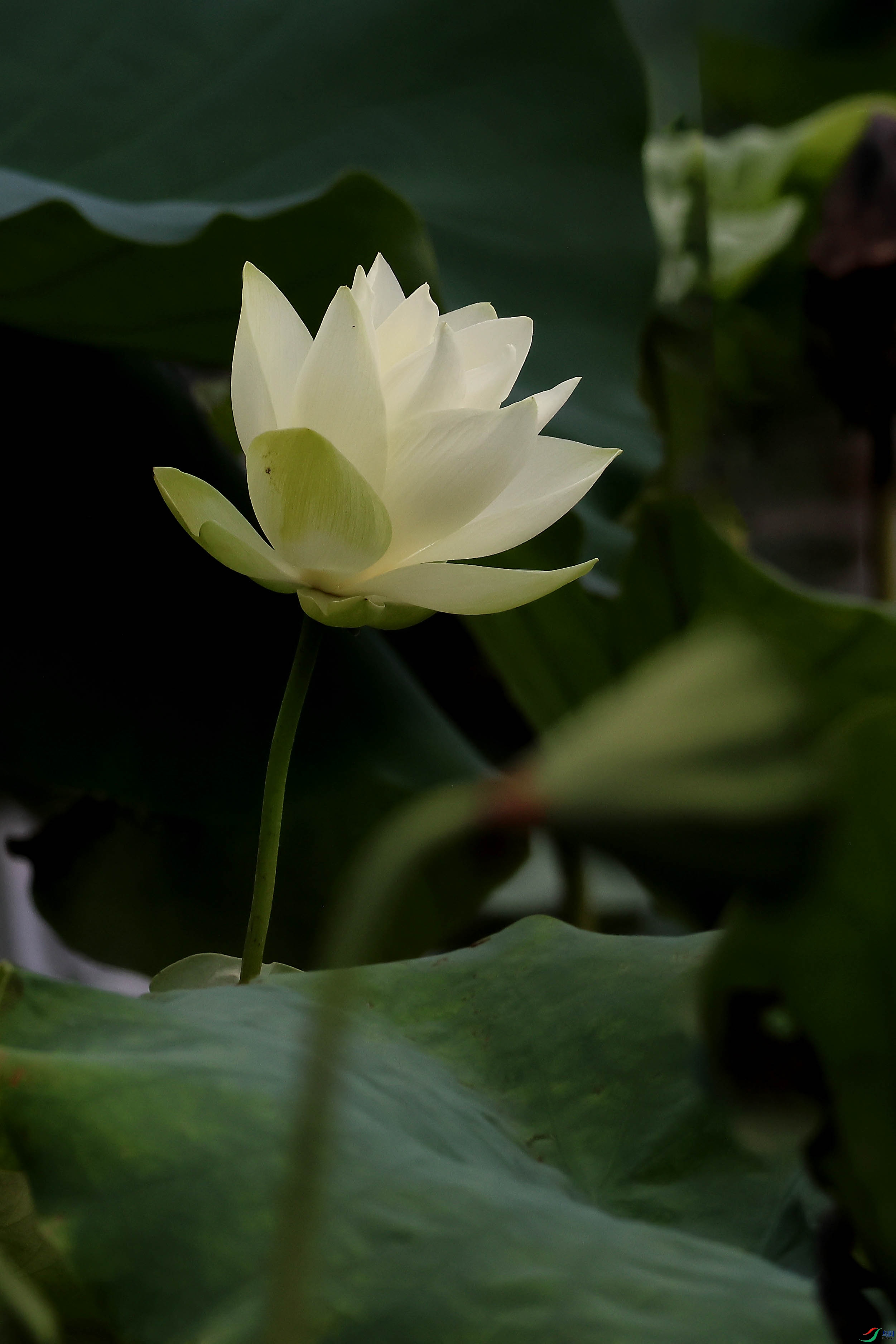 2G9A5562.JPG