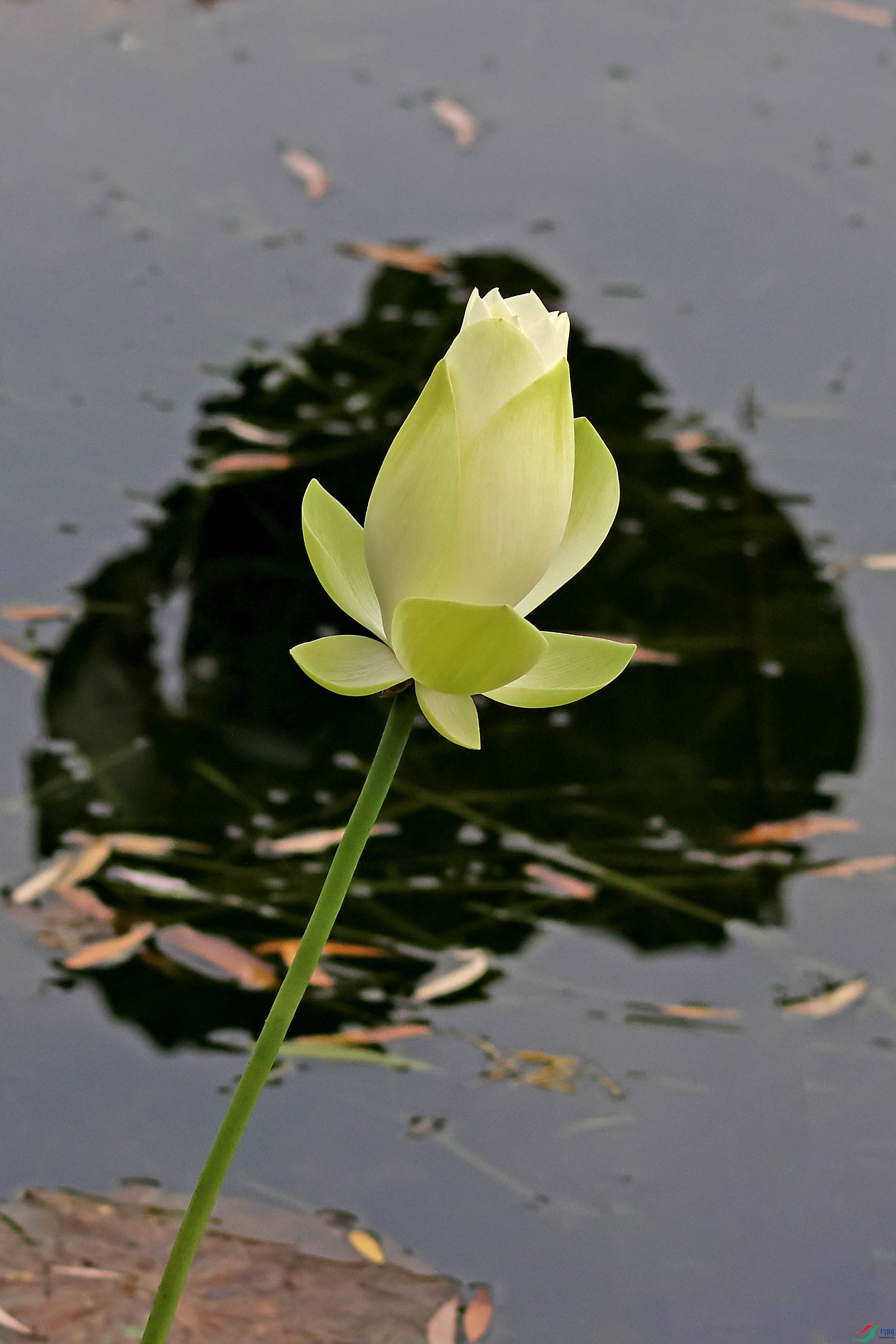 2G9A5563.JPG