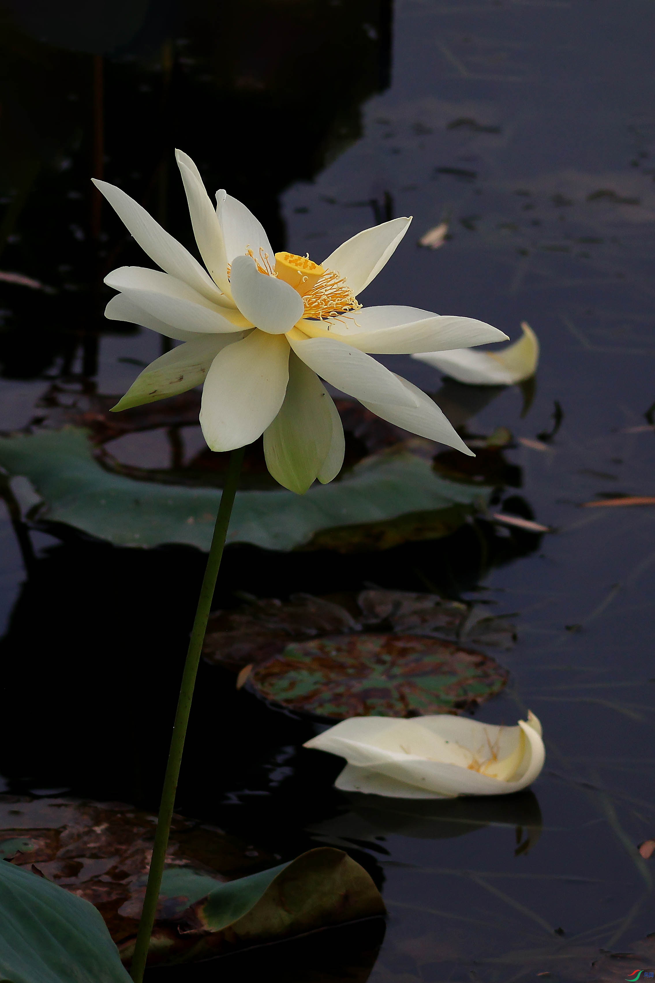 2G9A5564.JPG