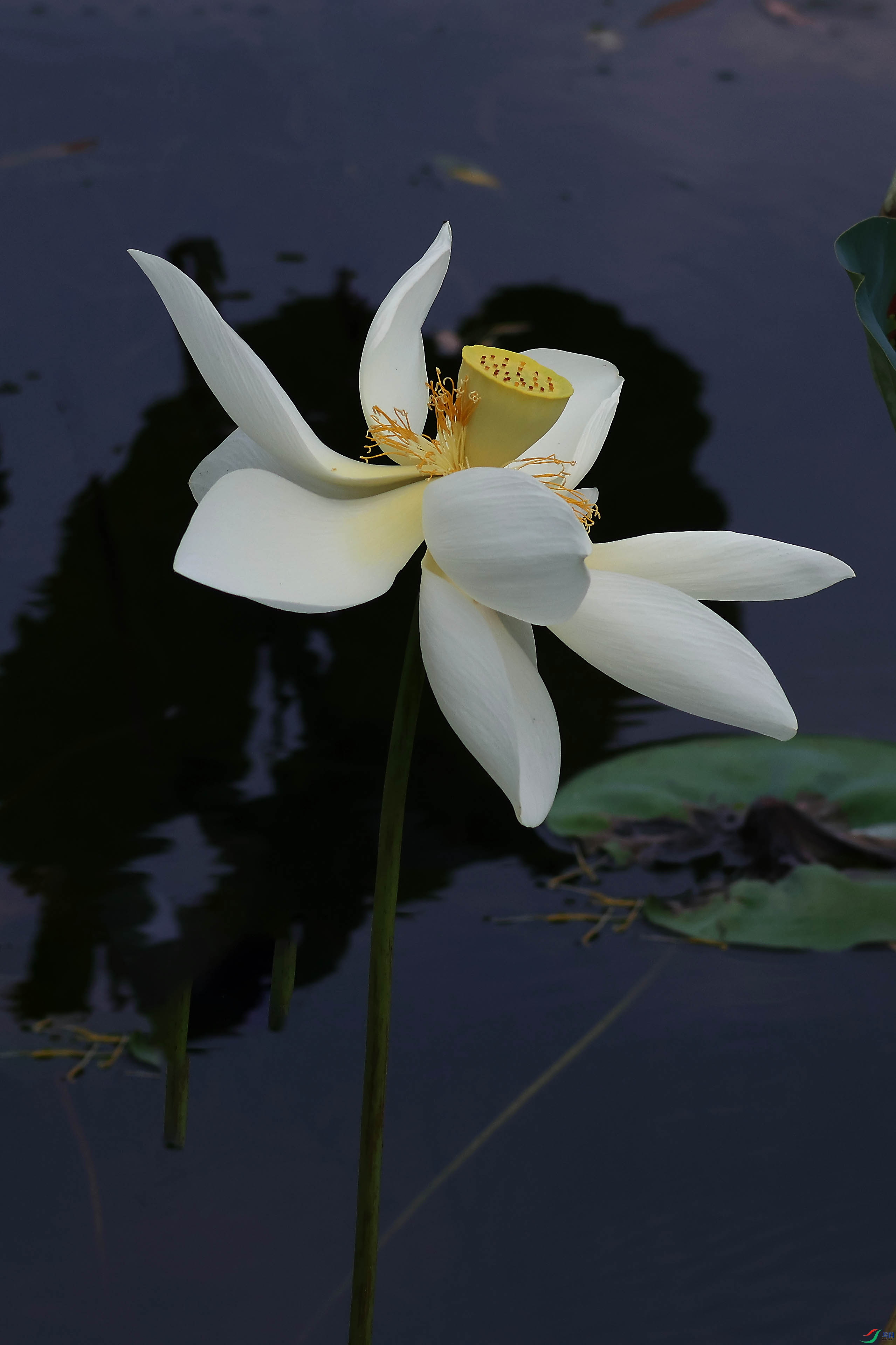 2G9A5568.JPG