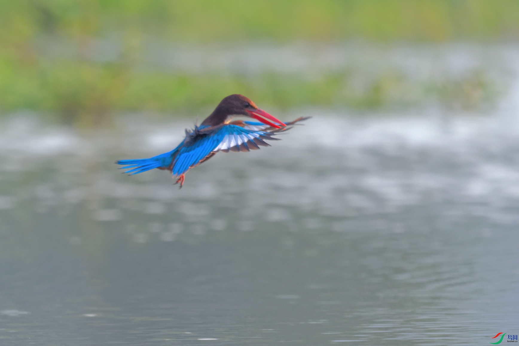DSC_0137_DxOa.jpg