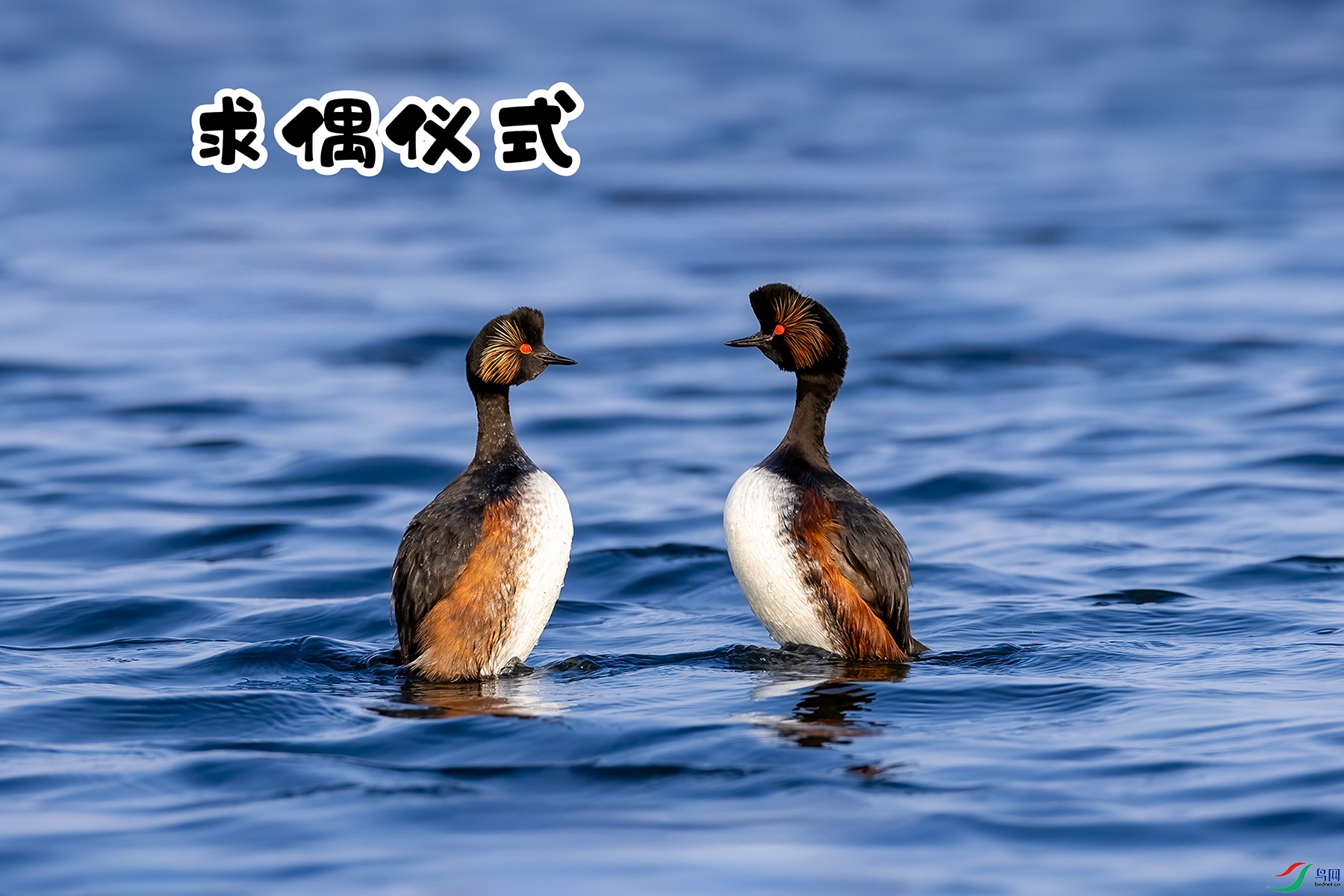 7��1�� (1) ����.jpg