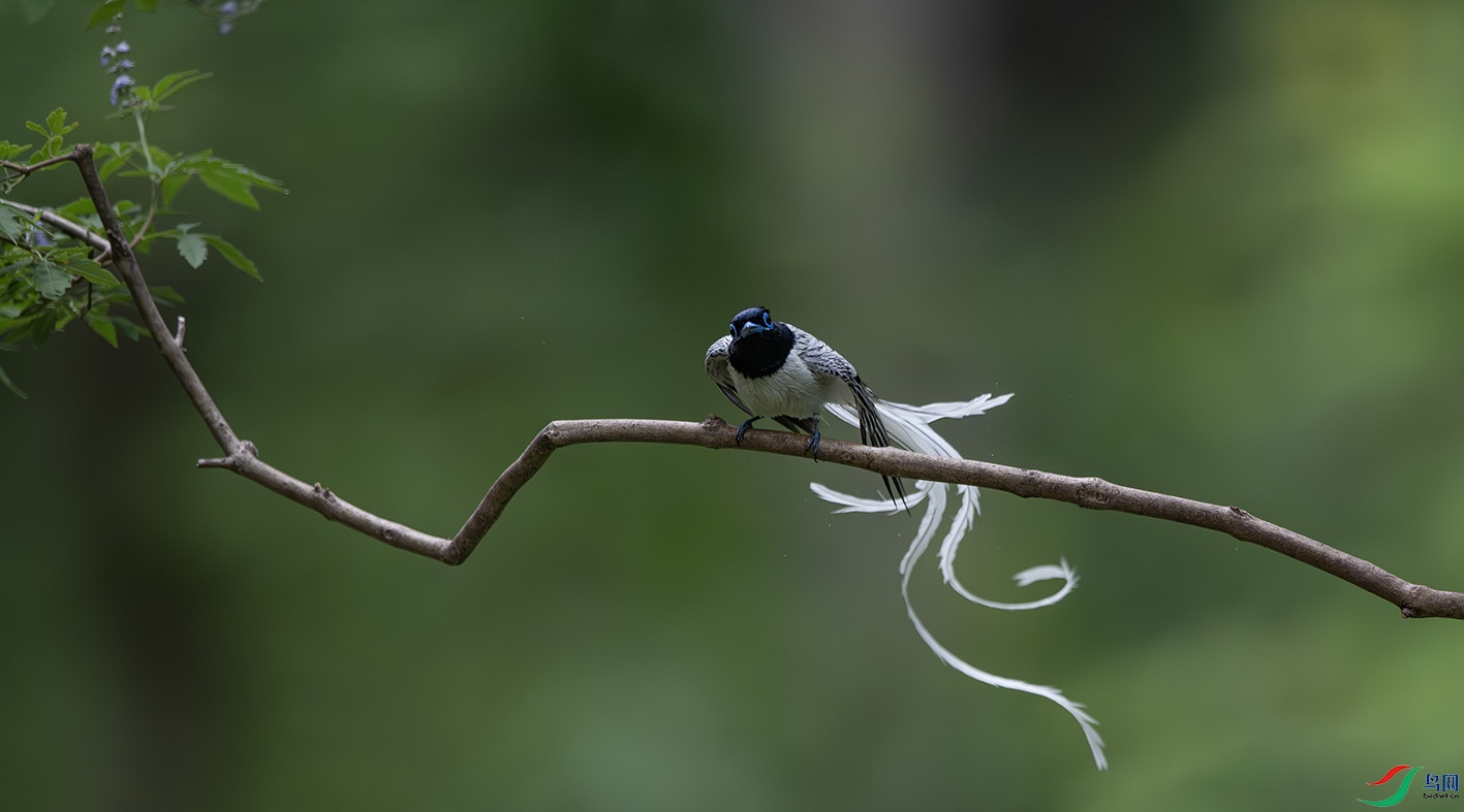 DSC_7613-����ǿ-NR ����.jpg