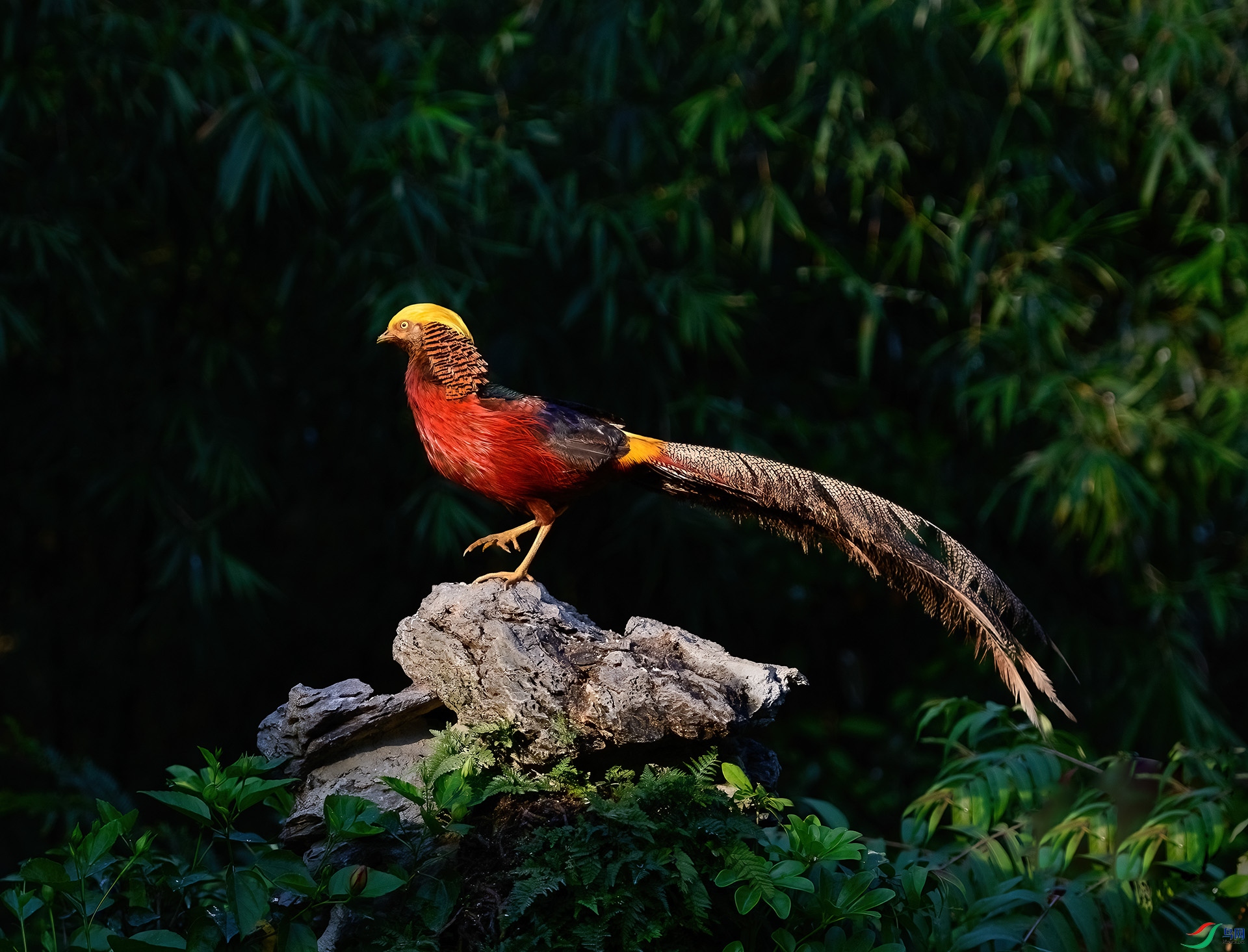 DSC_07451.jpg