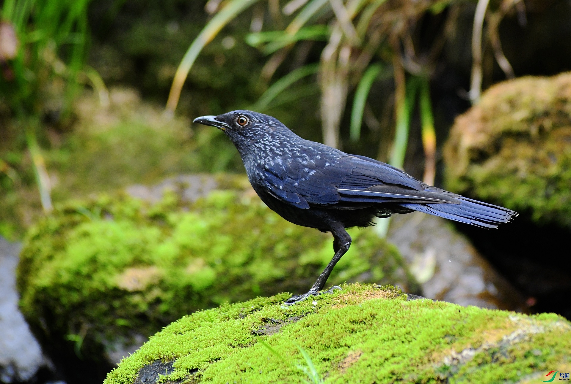 DSC_2320.jpg