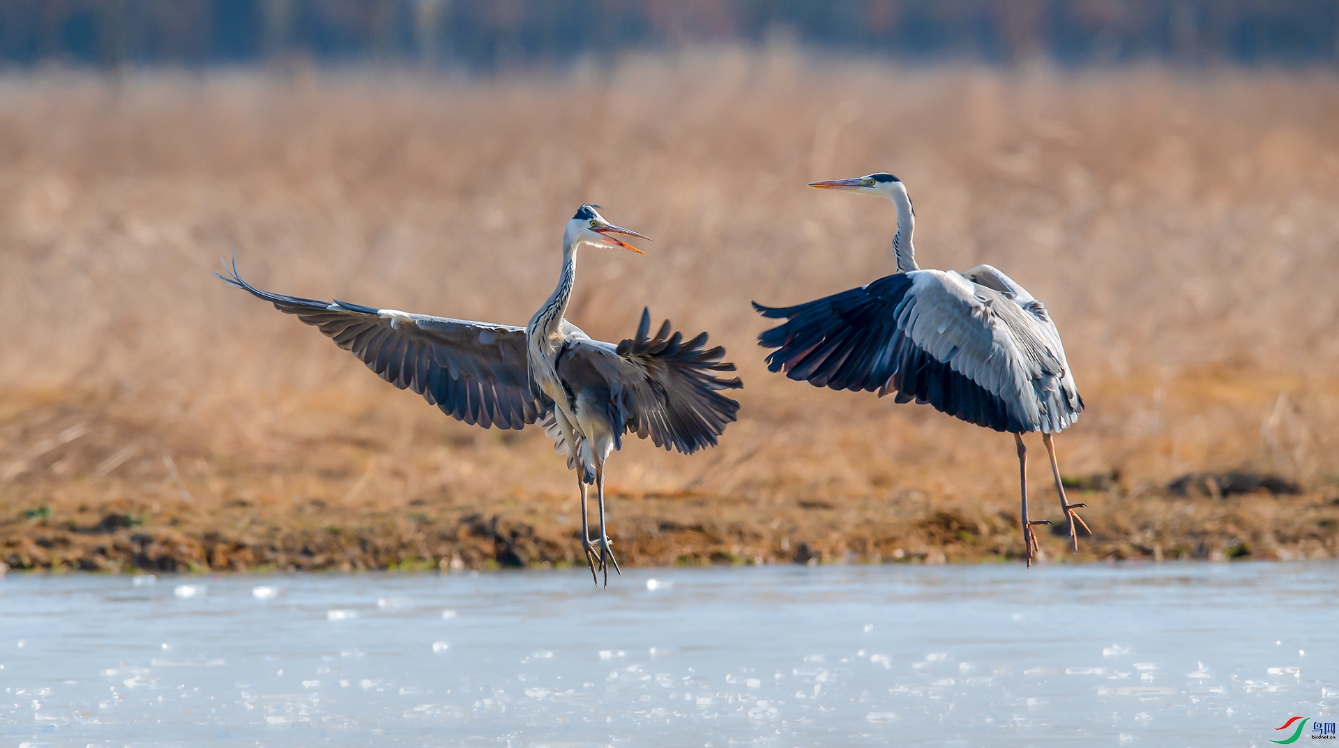 DSC_���� - 1.jpg