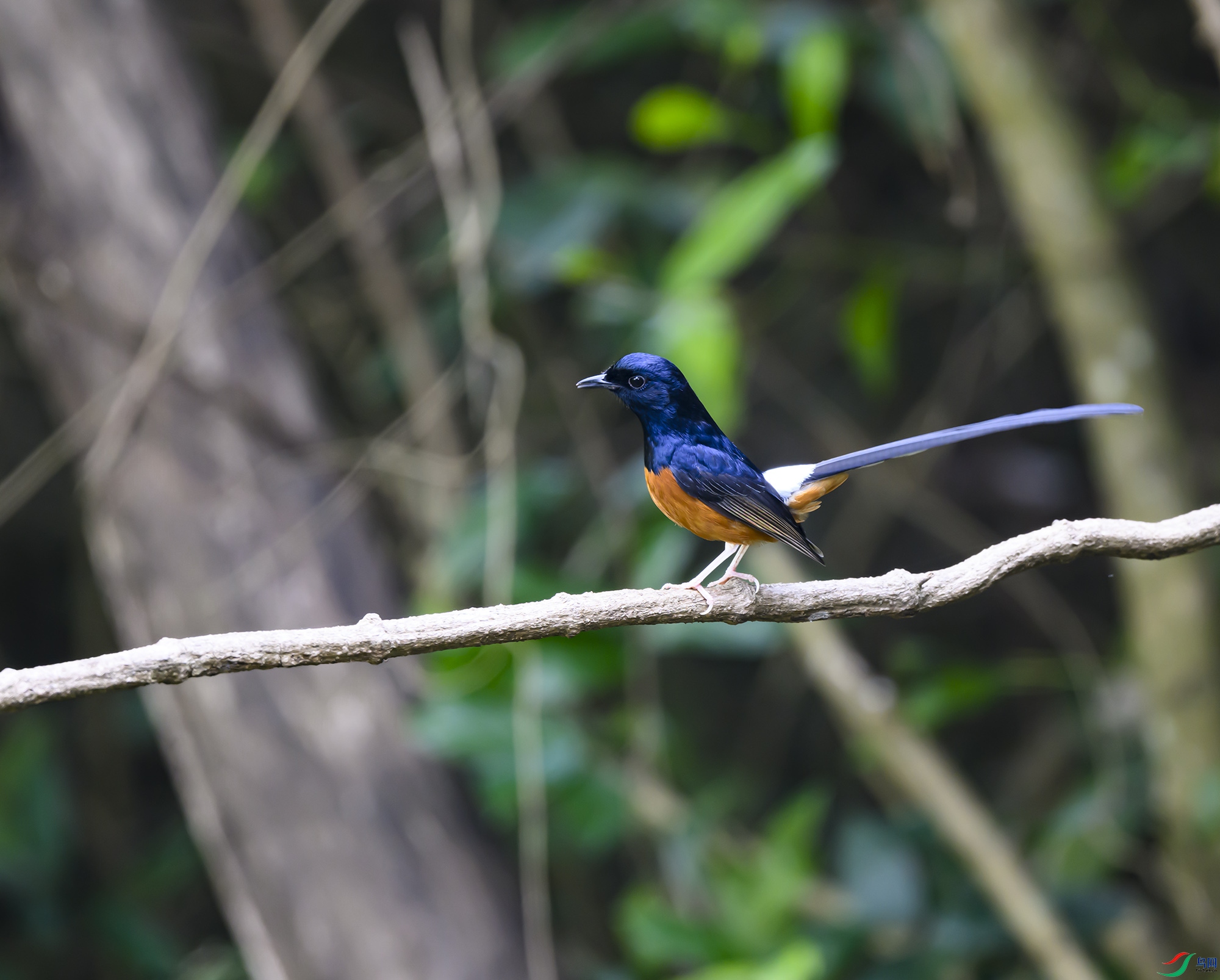 DSC_0519.jpg