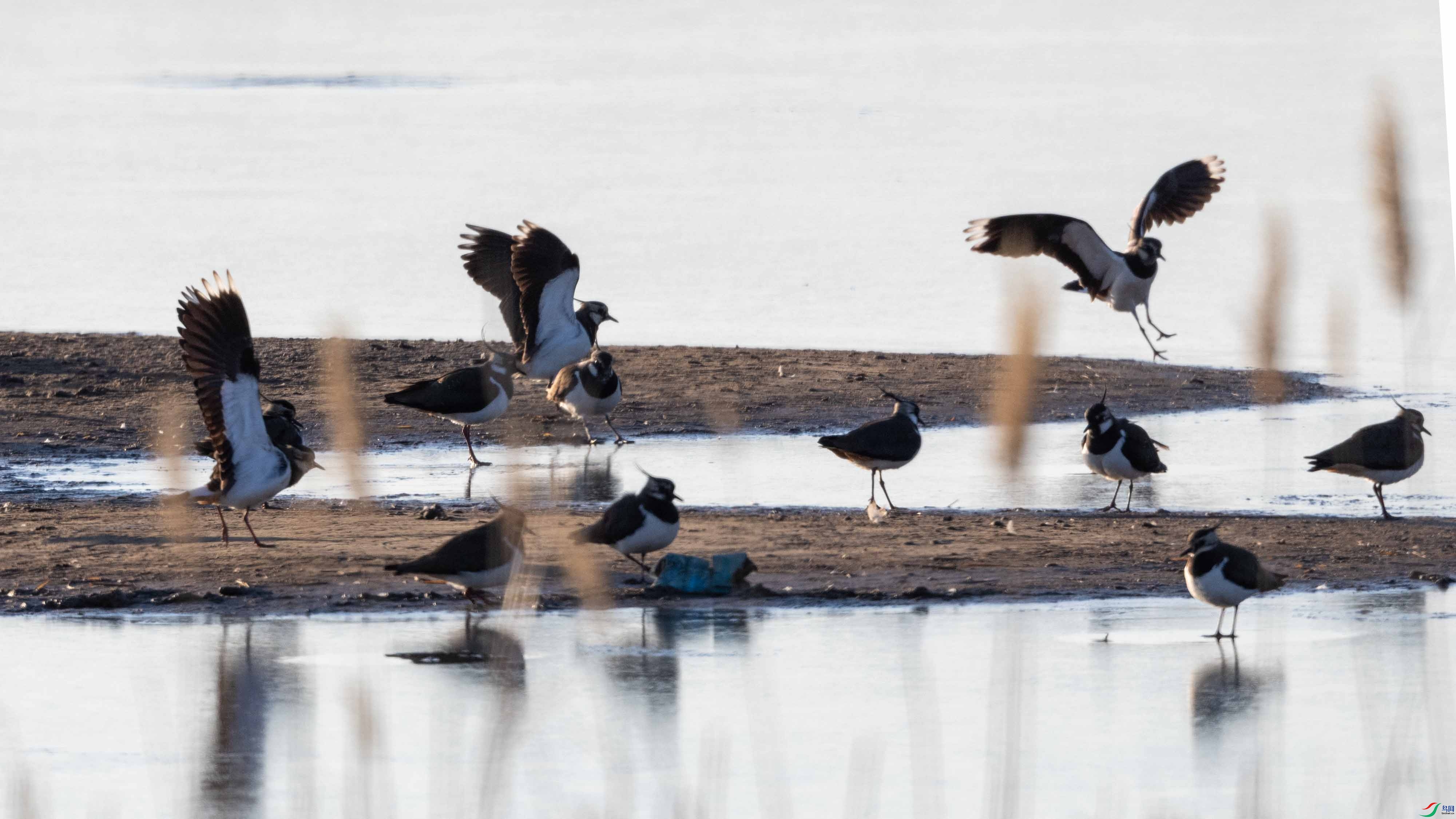 _LYF9575 ����.jpg