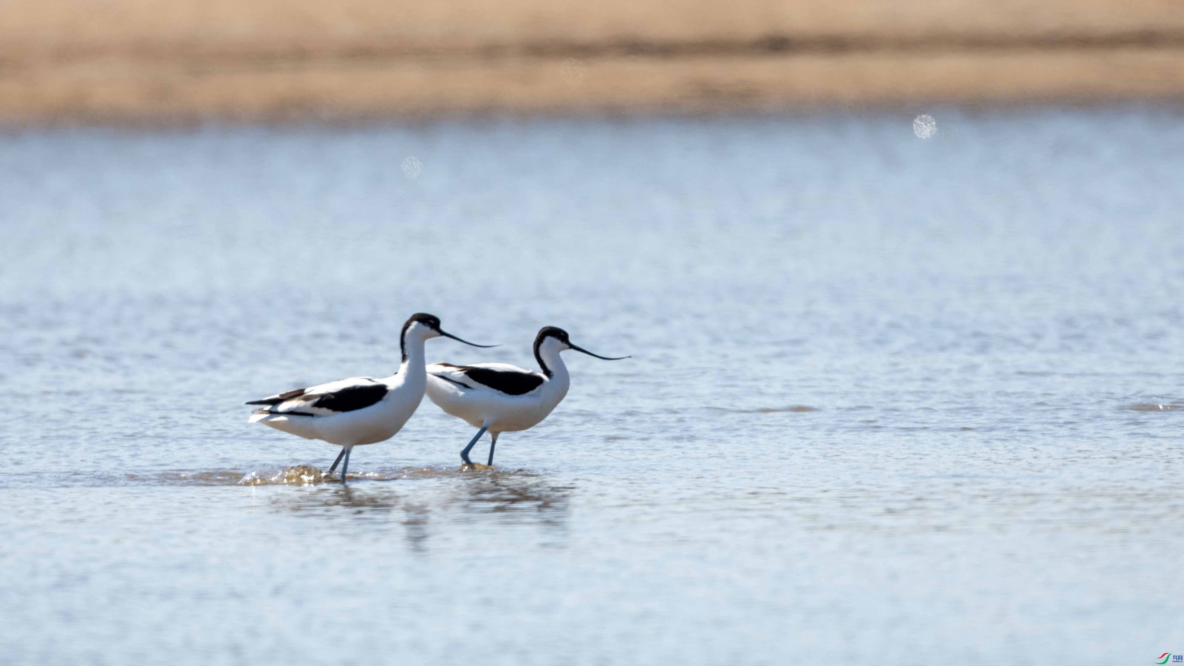 _LYF9770 ����.jpg