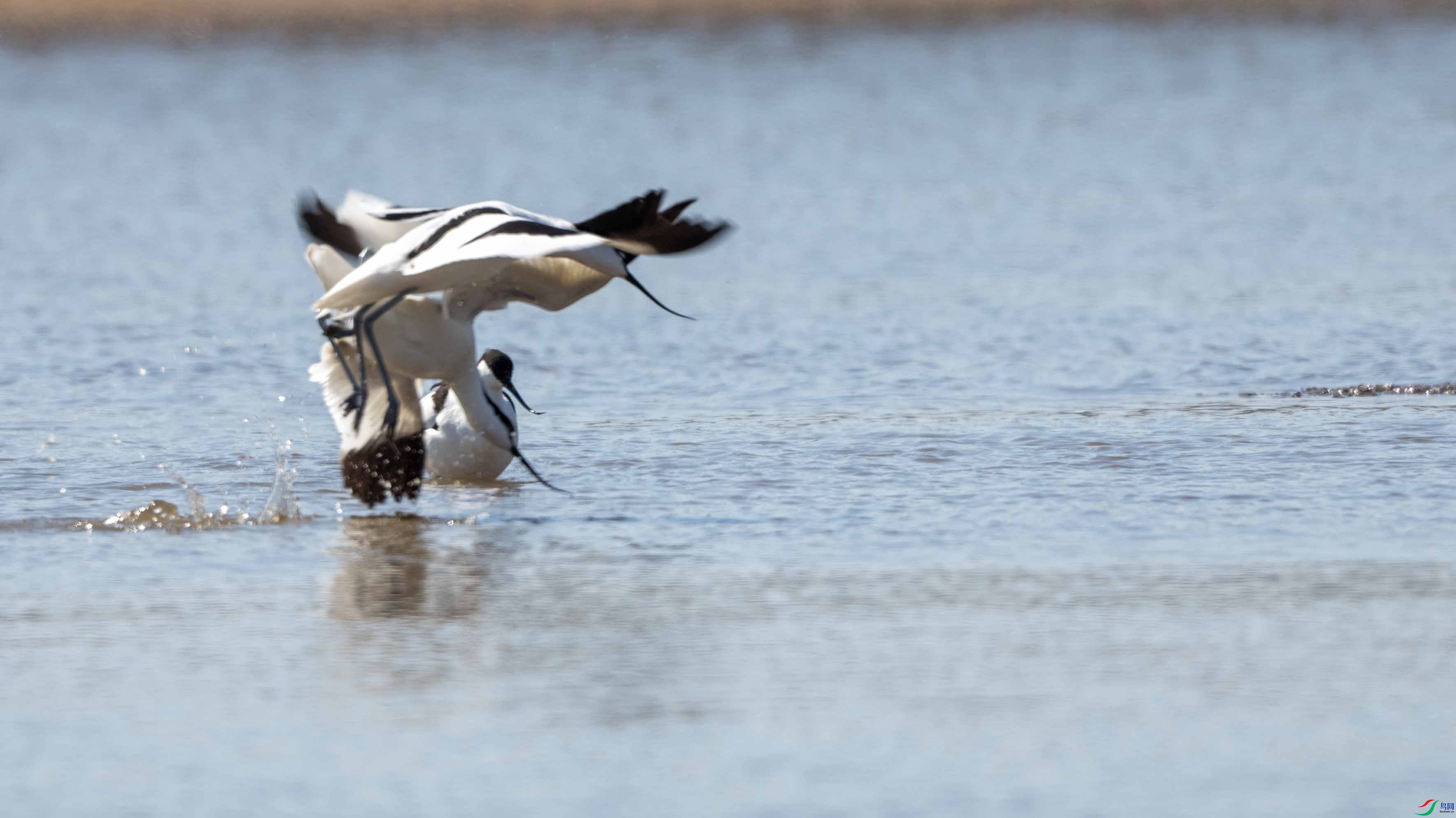 _LYF9771 ����.jpg