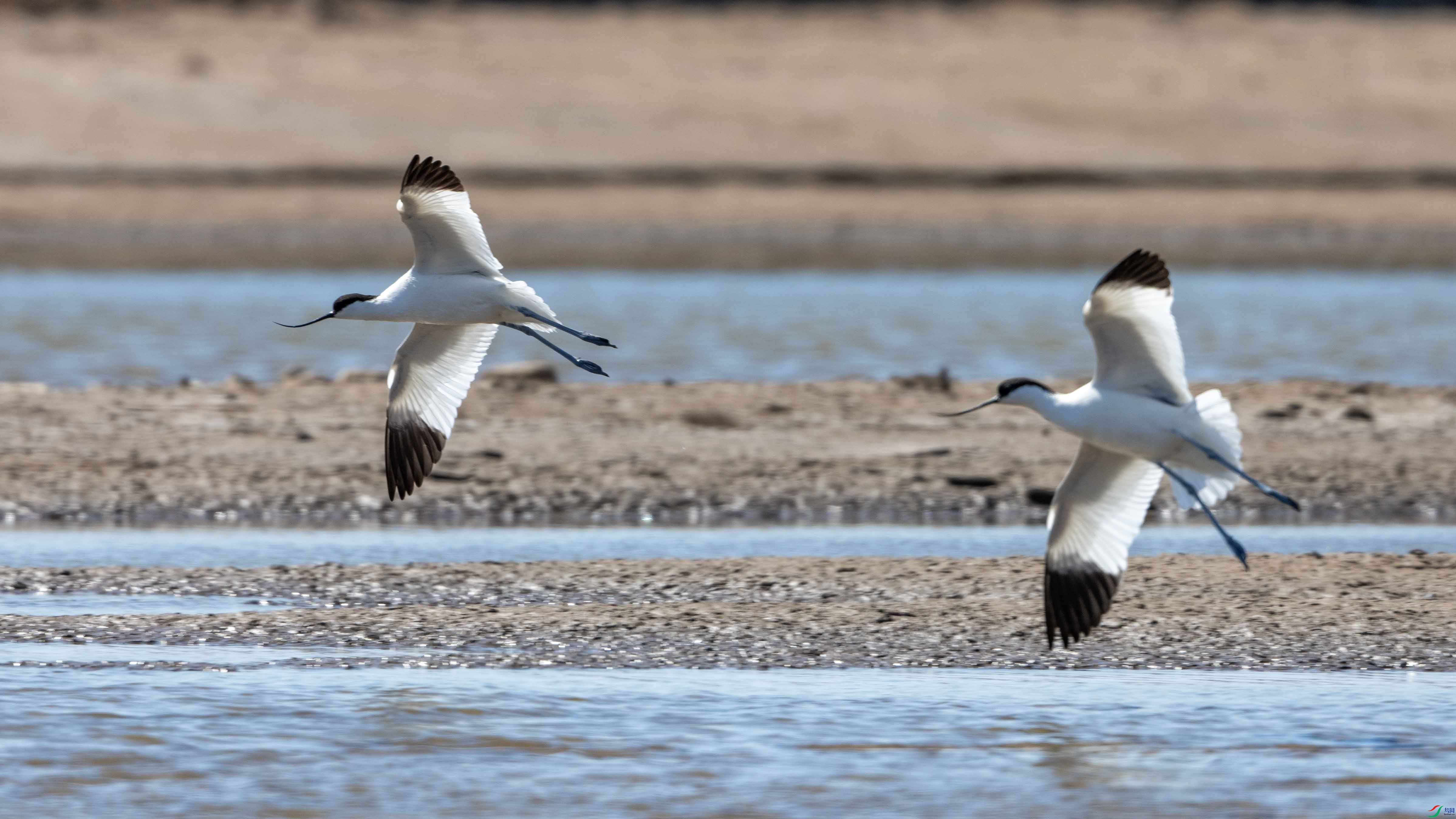 _LYF9874 ����.jpg