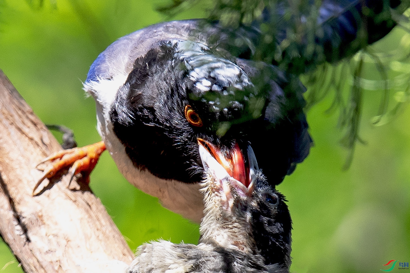 _90I6787 ����.jpg