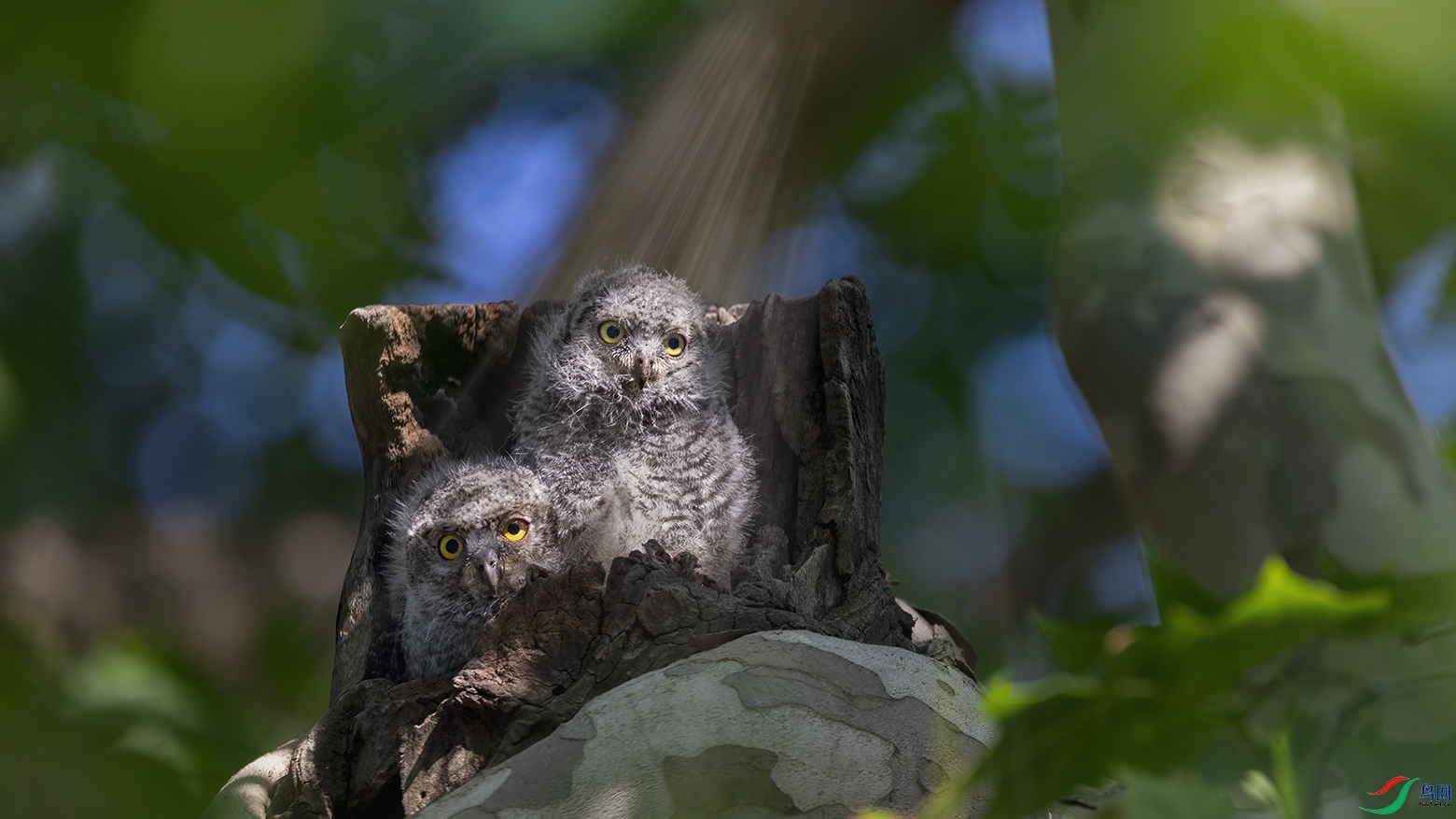 708A4114 ���� 2.jpg