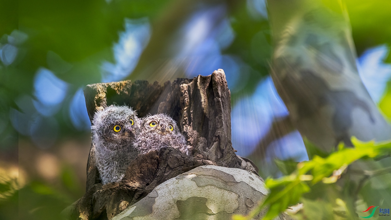 708A4218 ���� 3.jpg