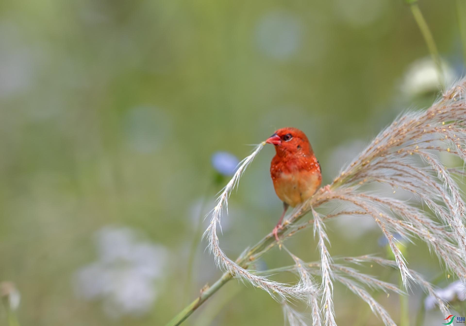 DSC_2552.jpg