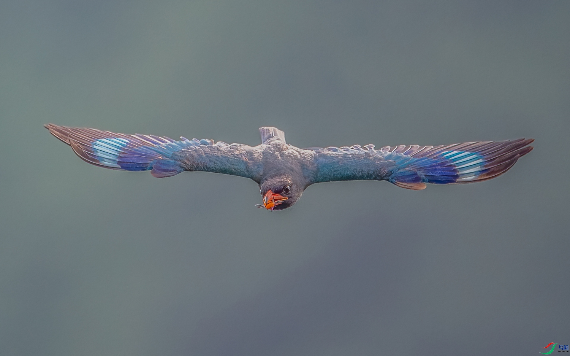 DSC_0674-2.jpg
