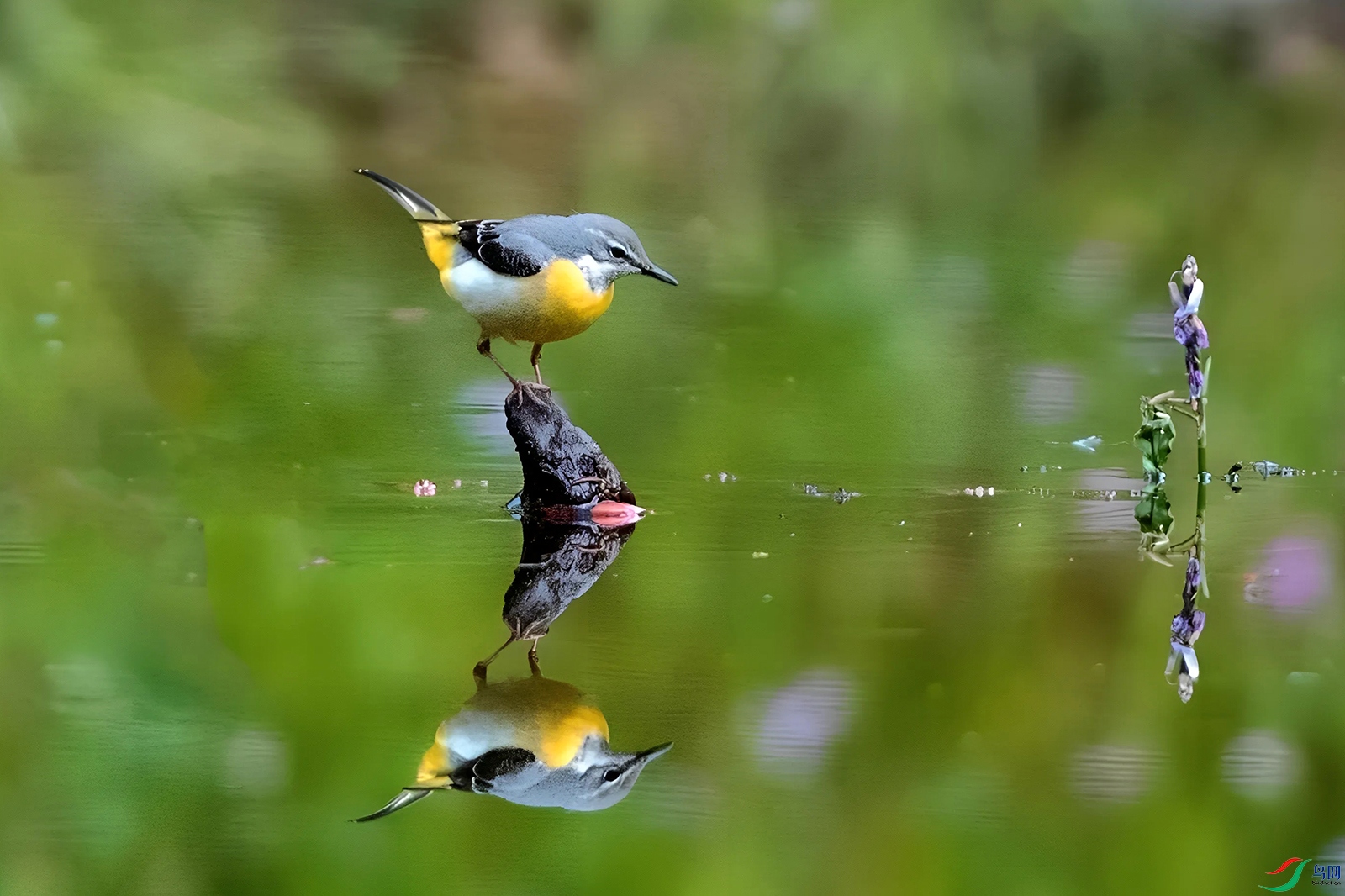 ���n�_18 ����.jpg