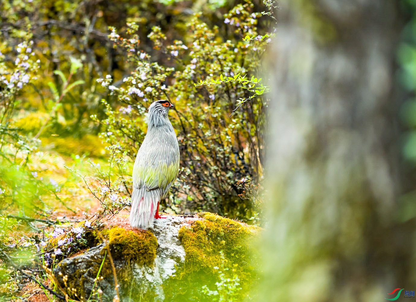 _DSC7929.jpg