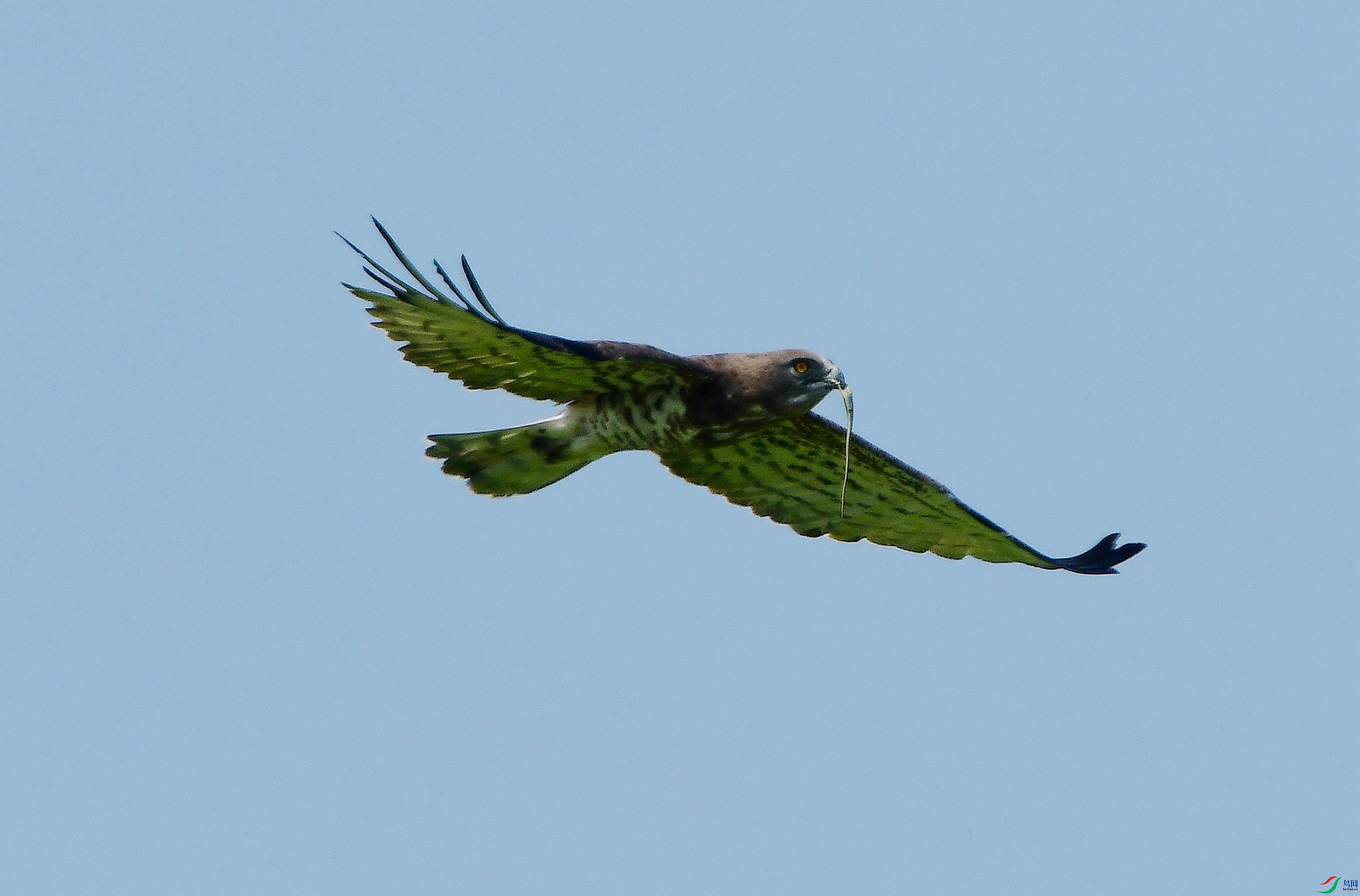 DSC_7114.JPG