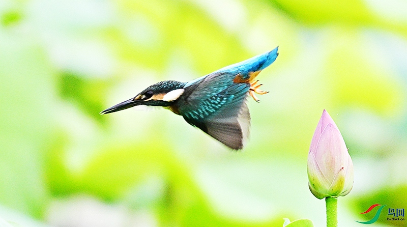 DSC_3274.JPG