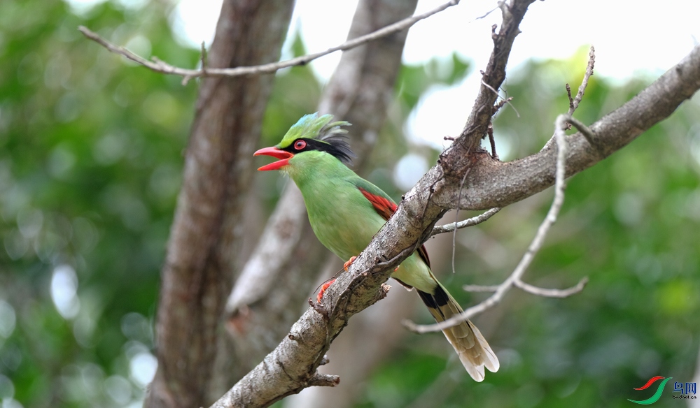 DSCF5178.1.jpg