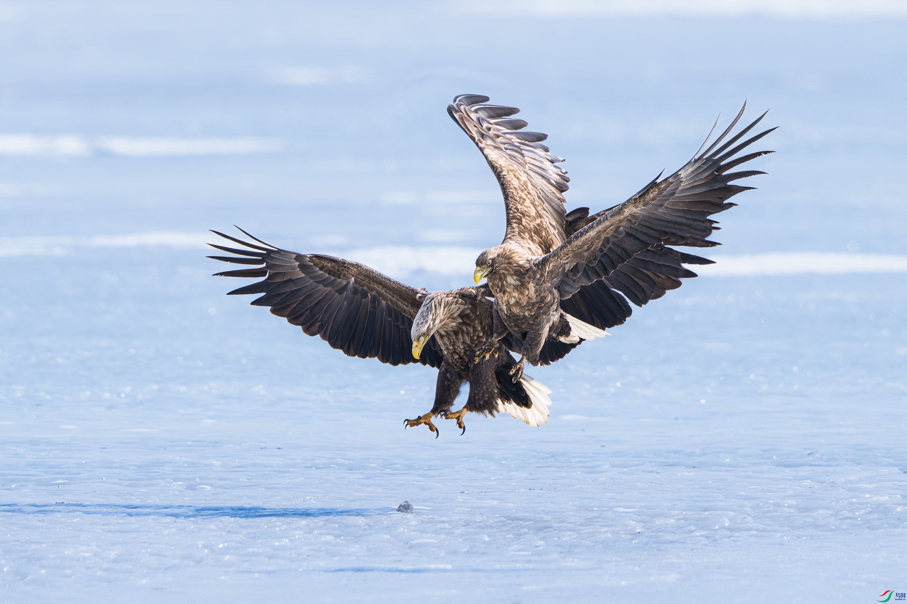 DSC_7500-.jpg