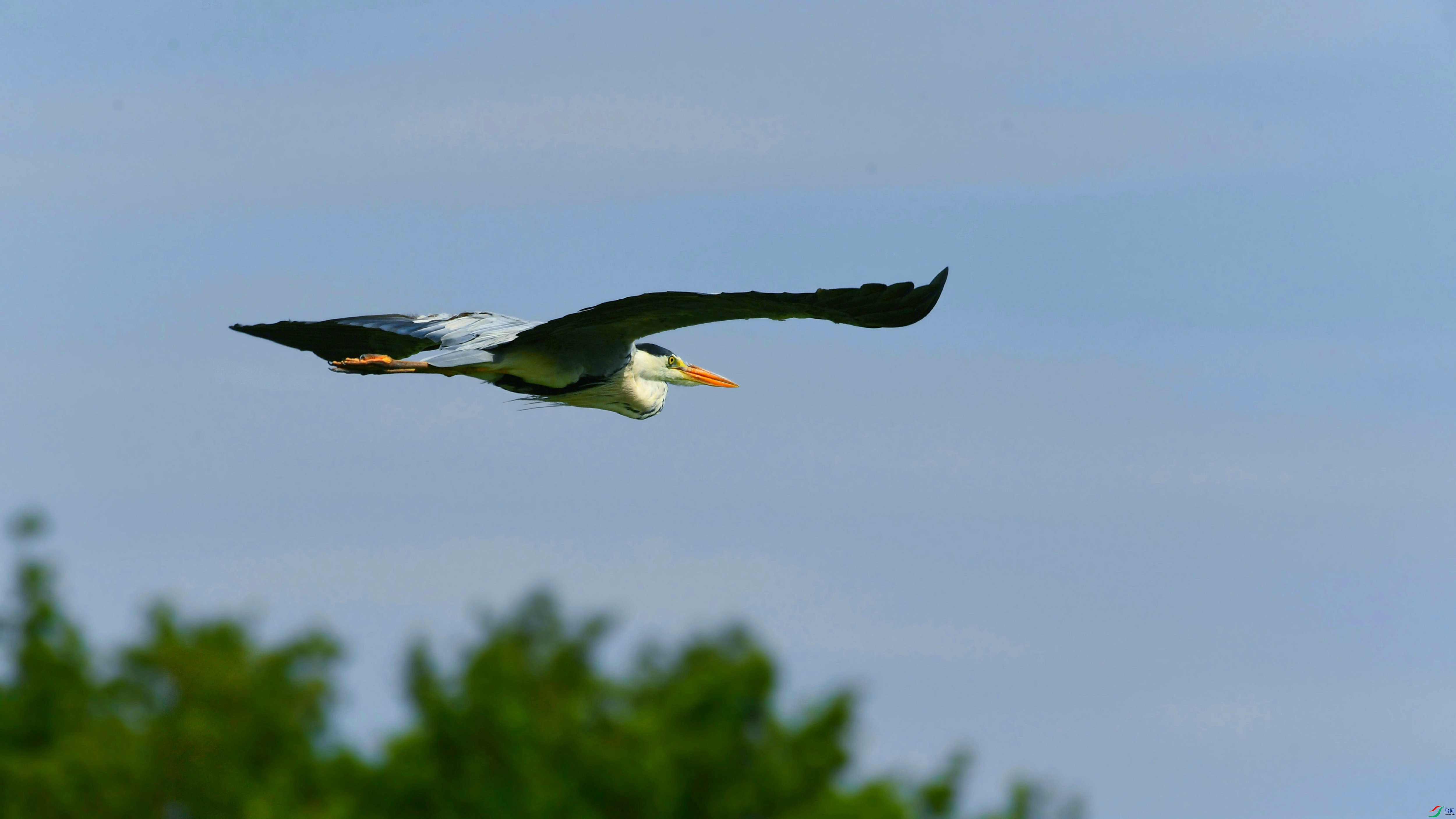 DSC_9179.JPG