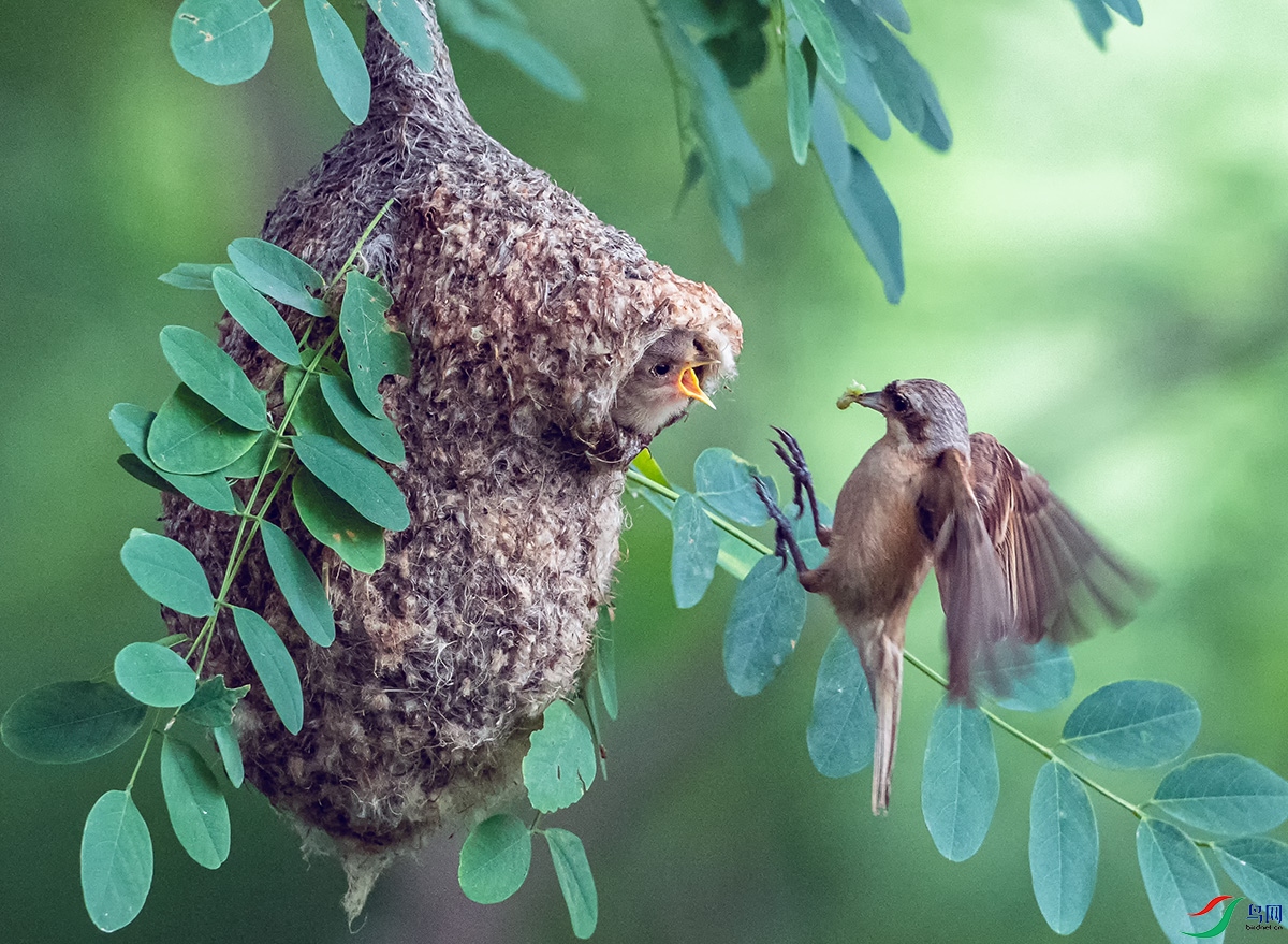 DSC_9616 ����.jpg