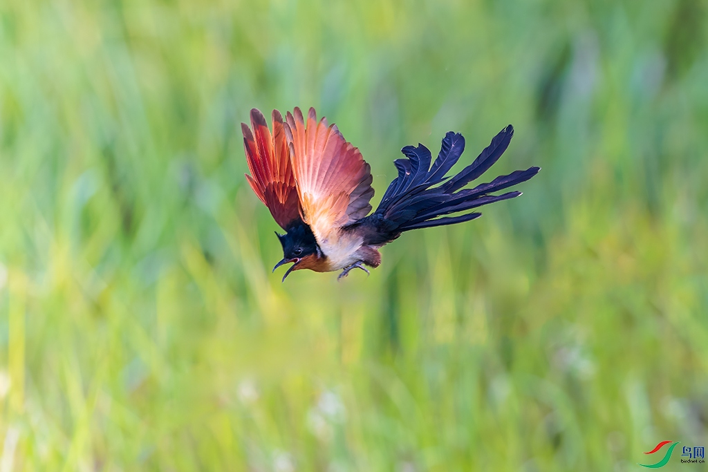 hnxydzR5250614  (951)_DxO.jpg