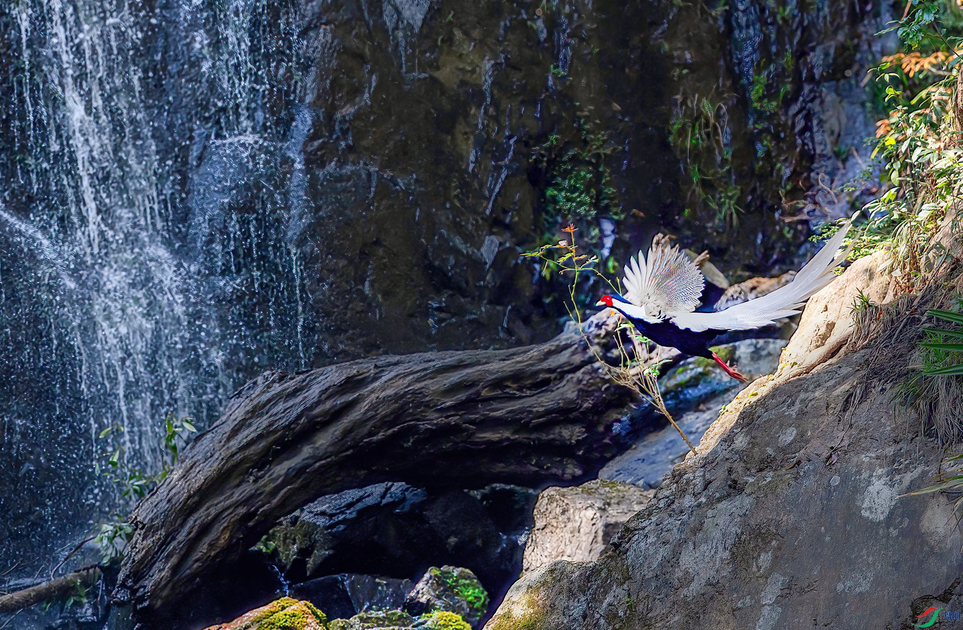 060A1208 ����-Sh----1 .jpg