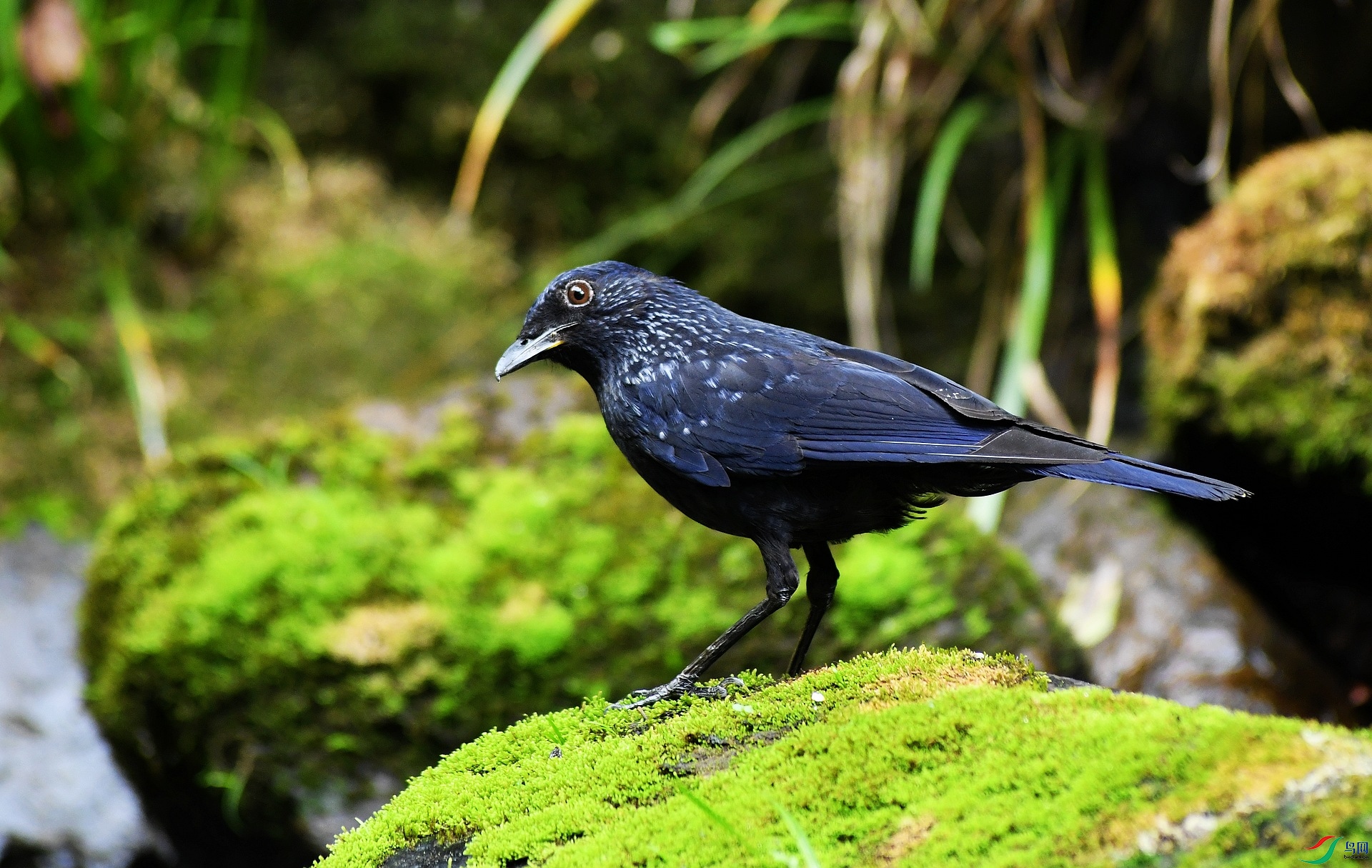 DSC_2374.jpg