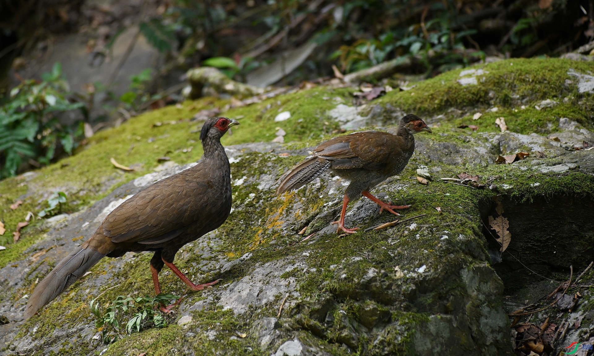 DSC_2095.jpg