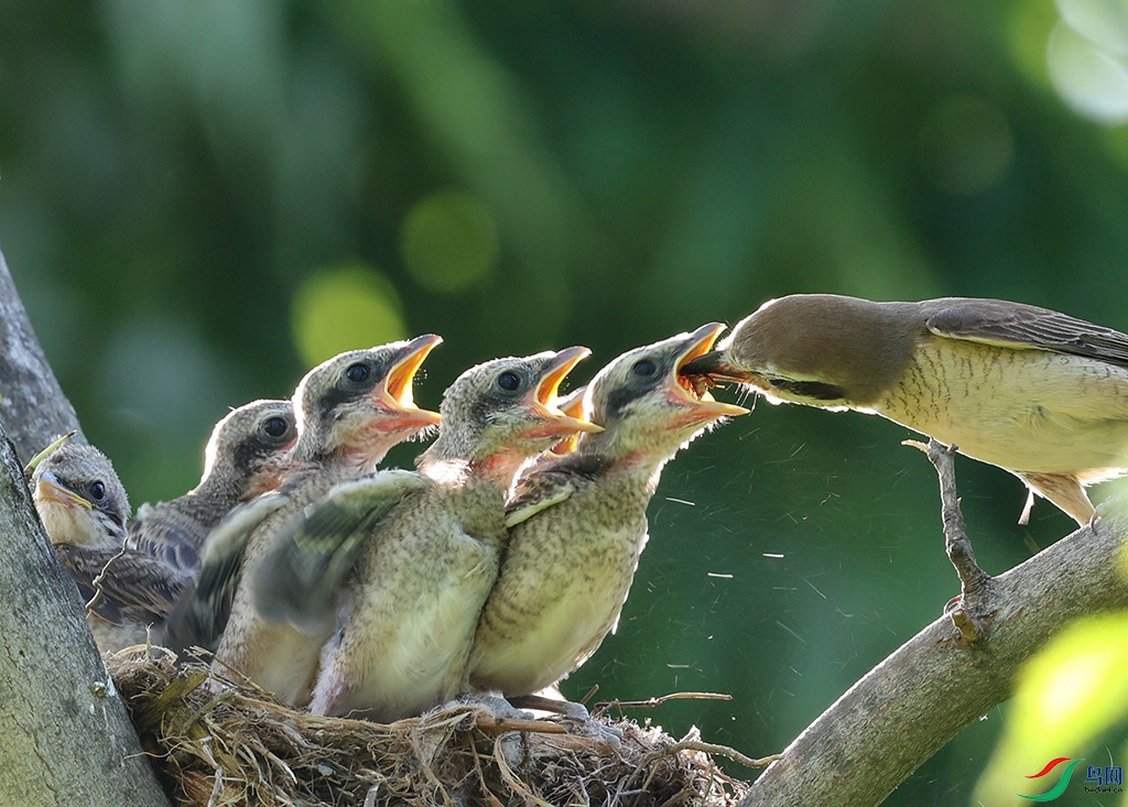 558A6478 ����.jpg