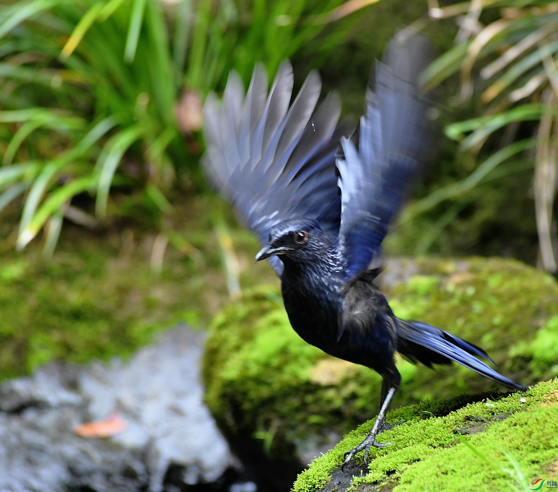 DSC_2346.jpg