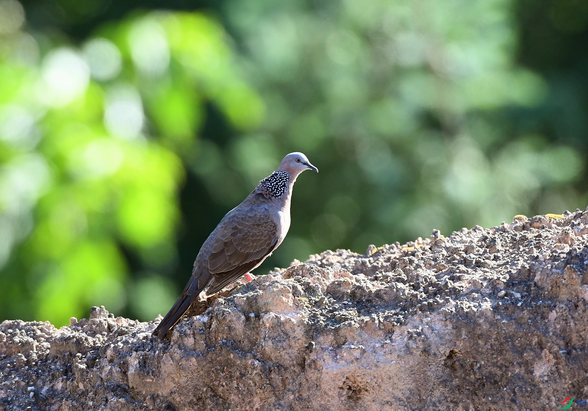 DSC_2644.jpg